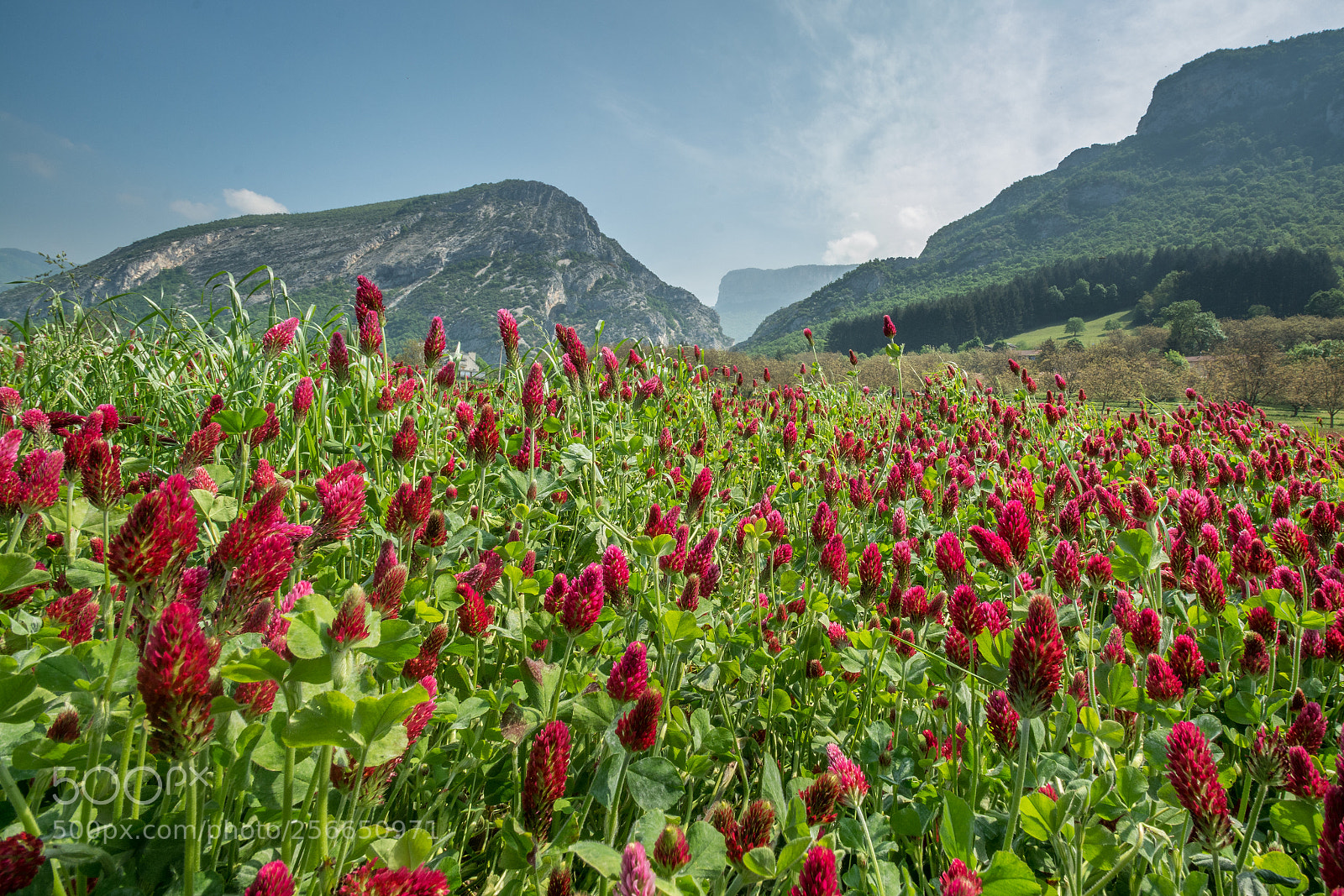 Nikon D7100 sample photo. Ste eulalie en vercors. photography
