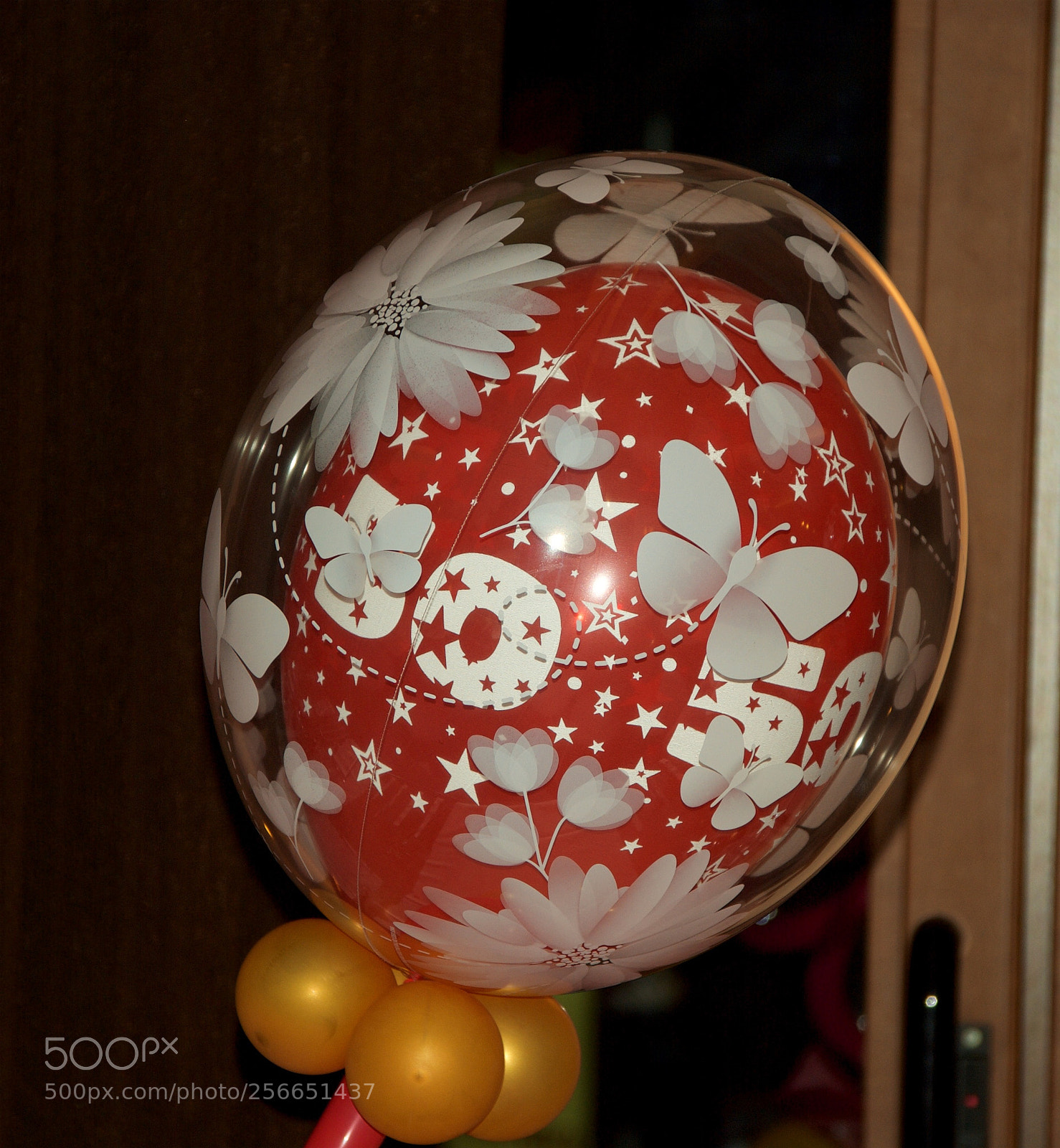 Nikon D60 sample photo. Version photography