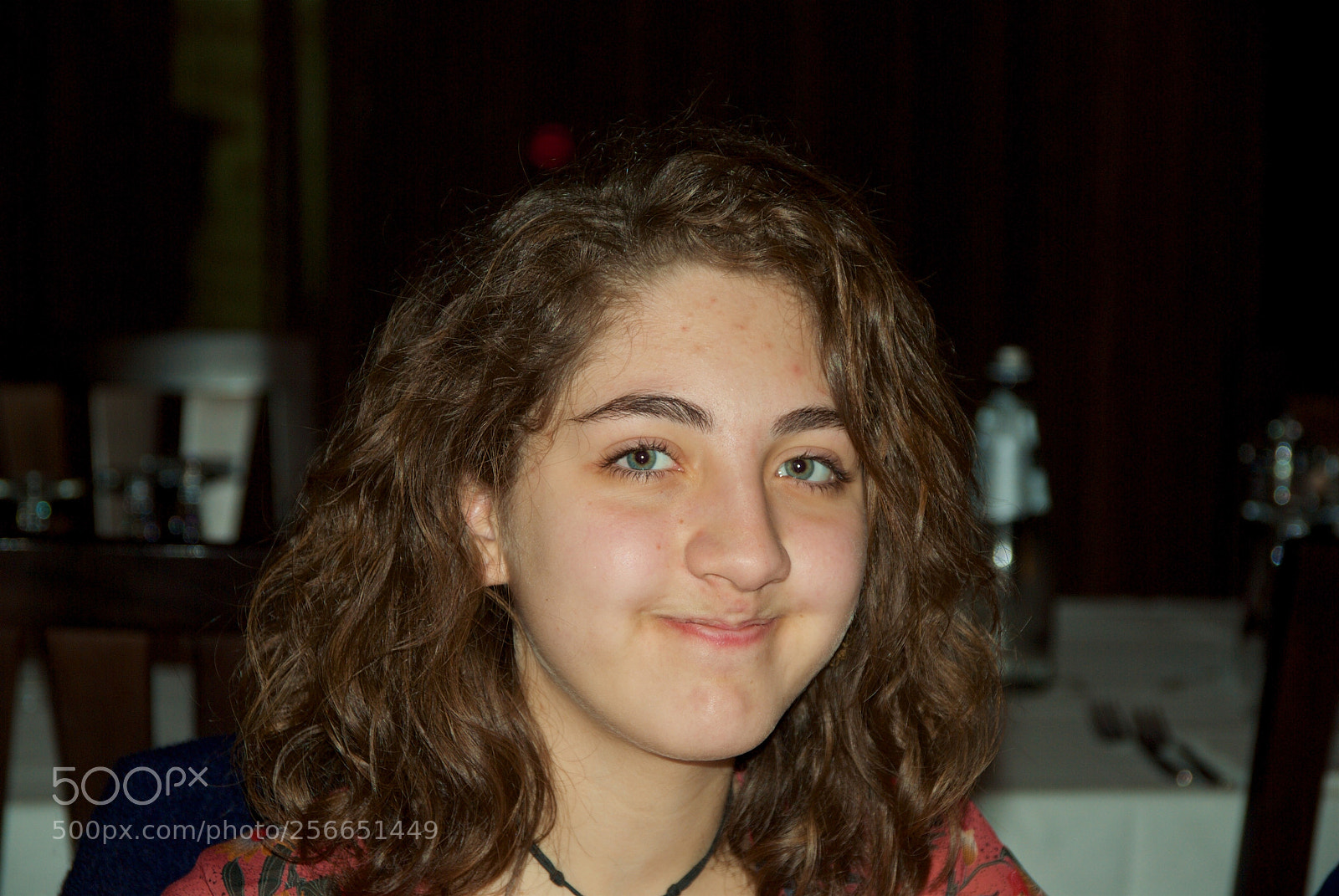 Nikon D60 sample photo. Version photography