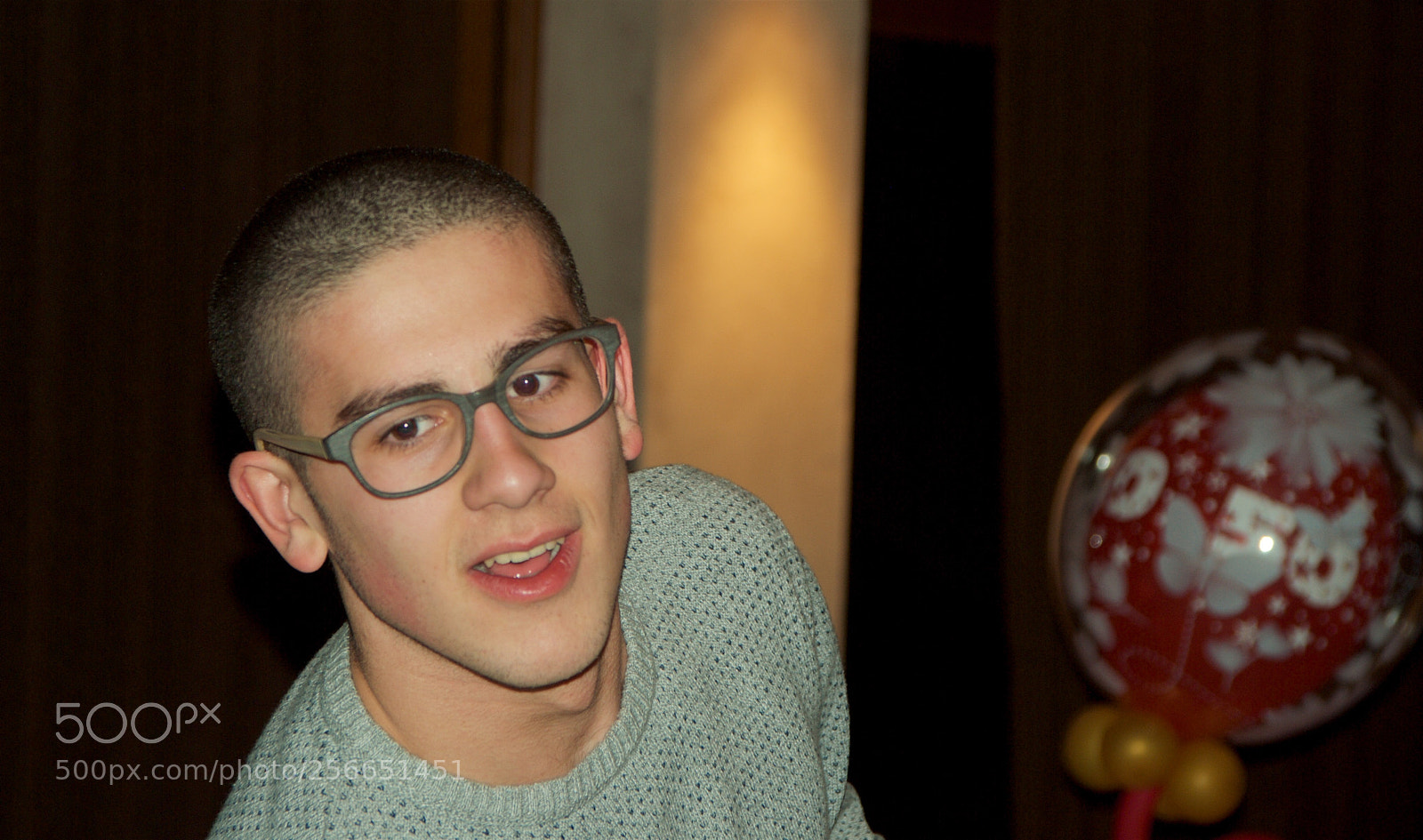 Nikon D60 sample photo. Version photography