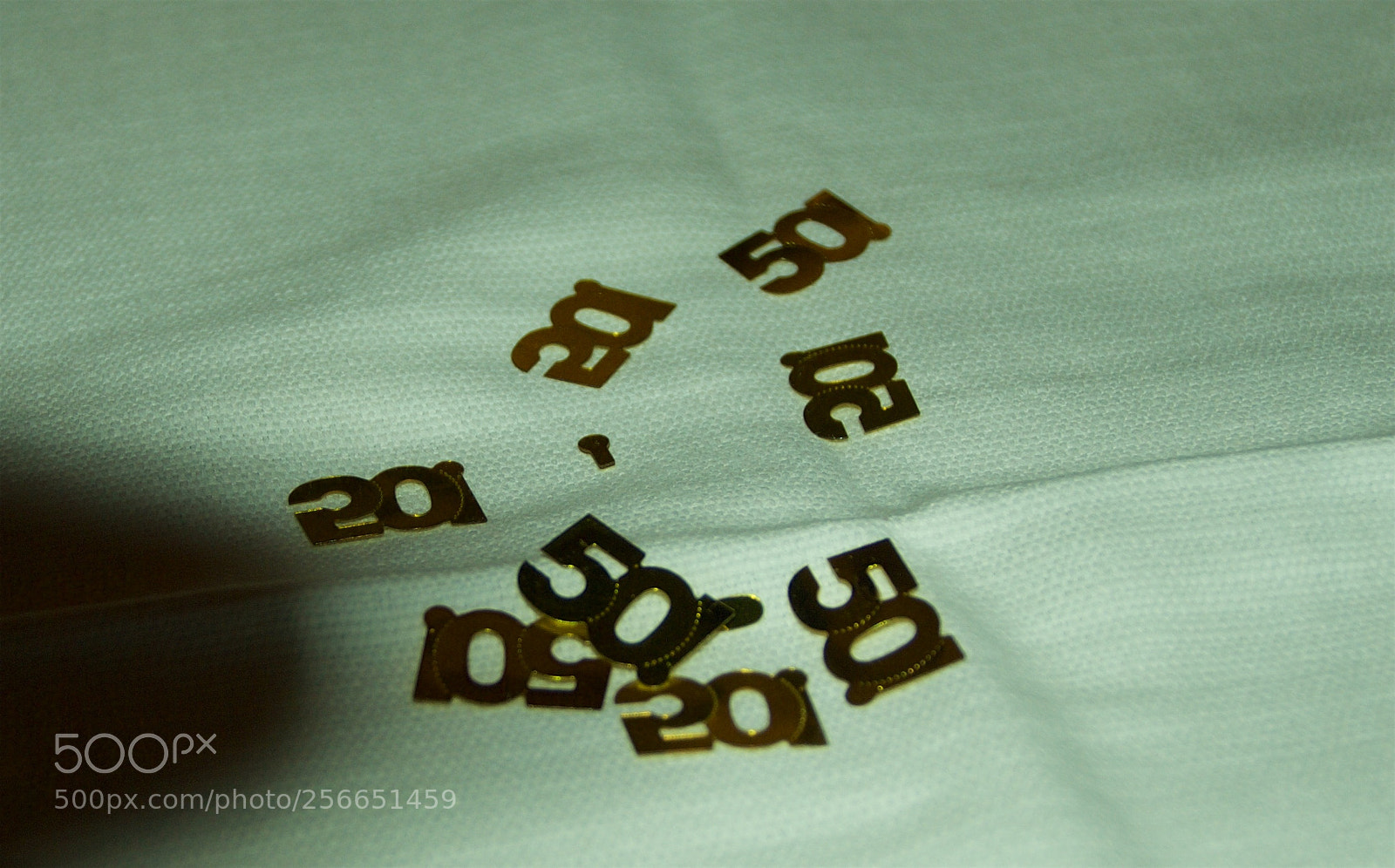 Nikon D60 sample photo. Version photography