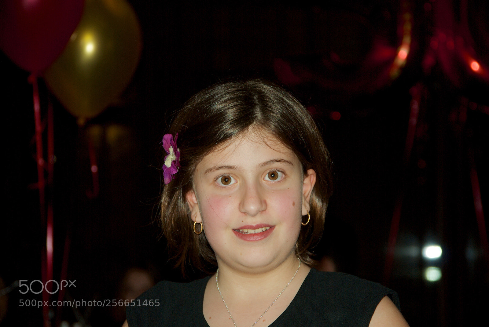 Nikon D60 sample photo. Version photography