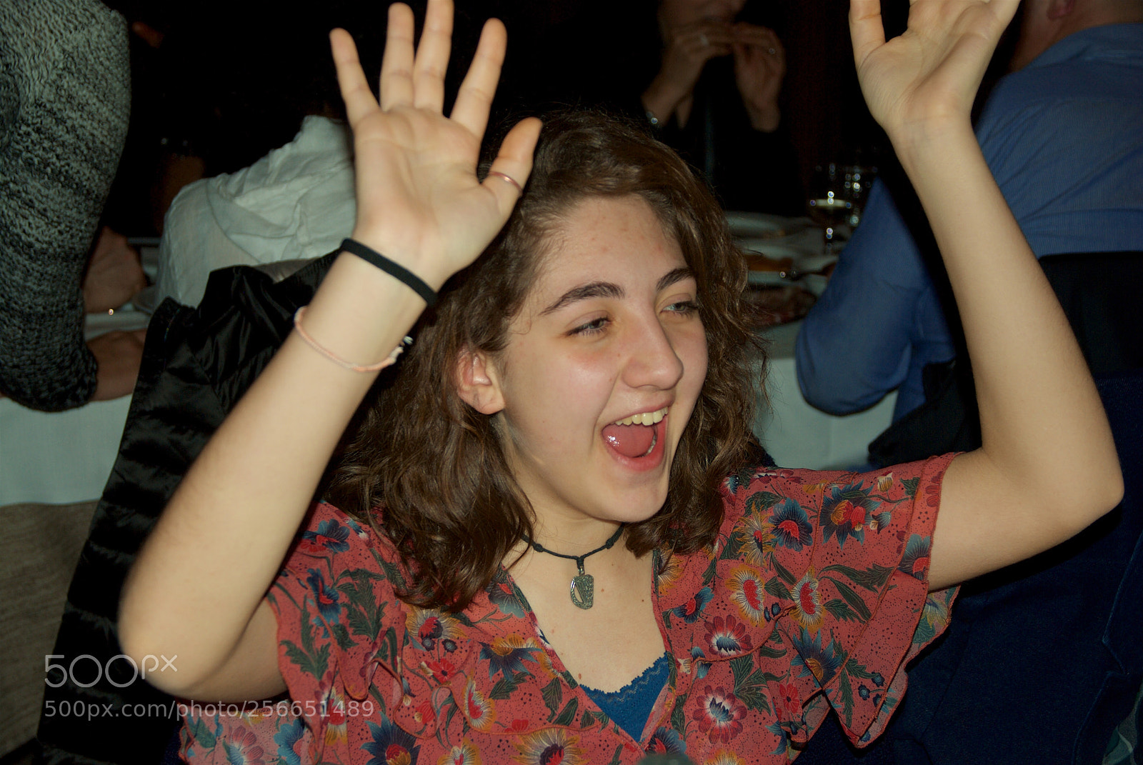 Nikon D60 sample photo. Version photography