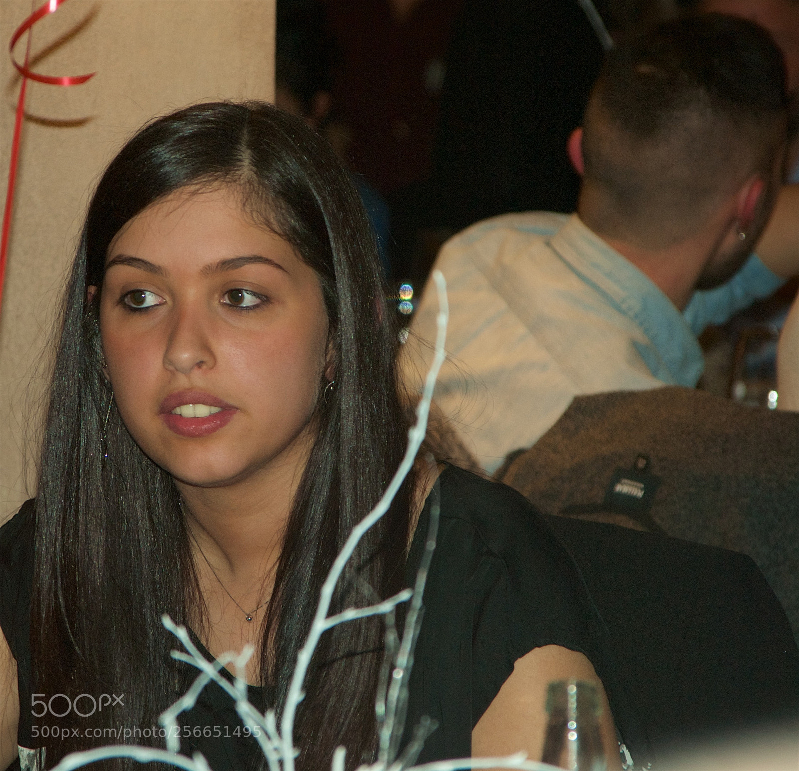 Nikon D60 sample photo. Version photography