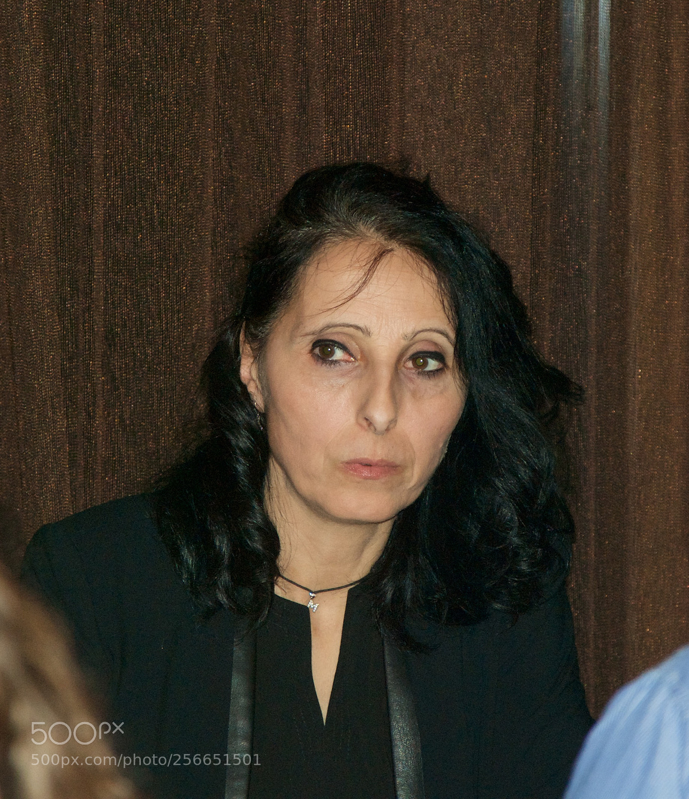 Nikon D60 sample photo. Version photography