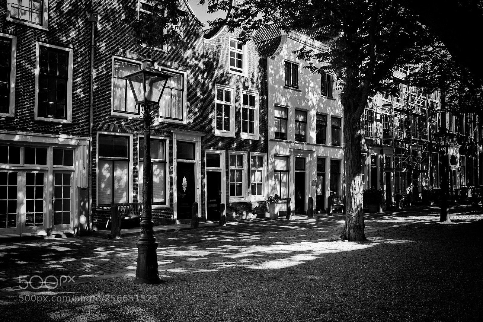 Nikon D750 sample photo. Dappled light in leiden photography