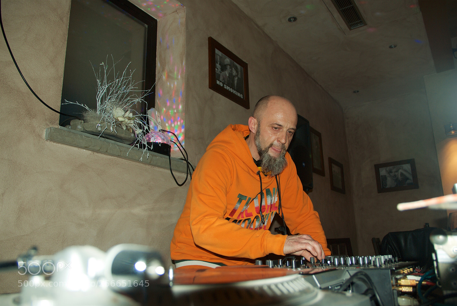 Nikon D60 sample photo. Version photography