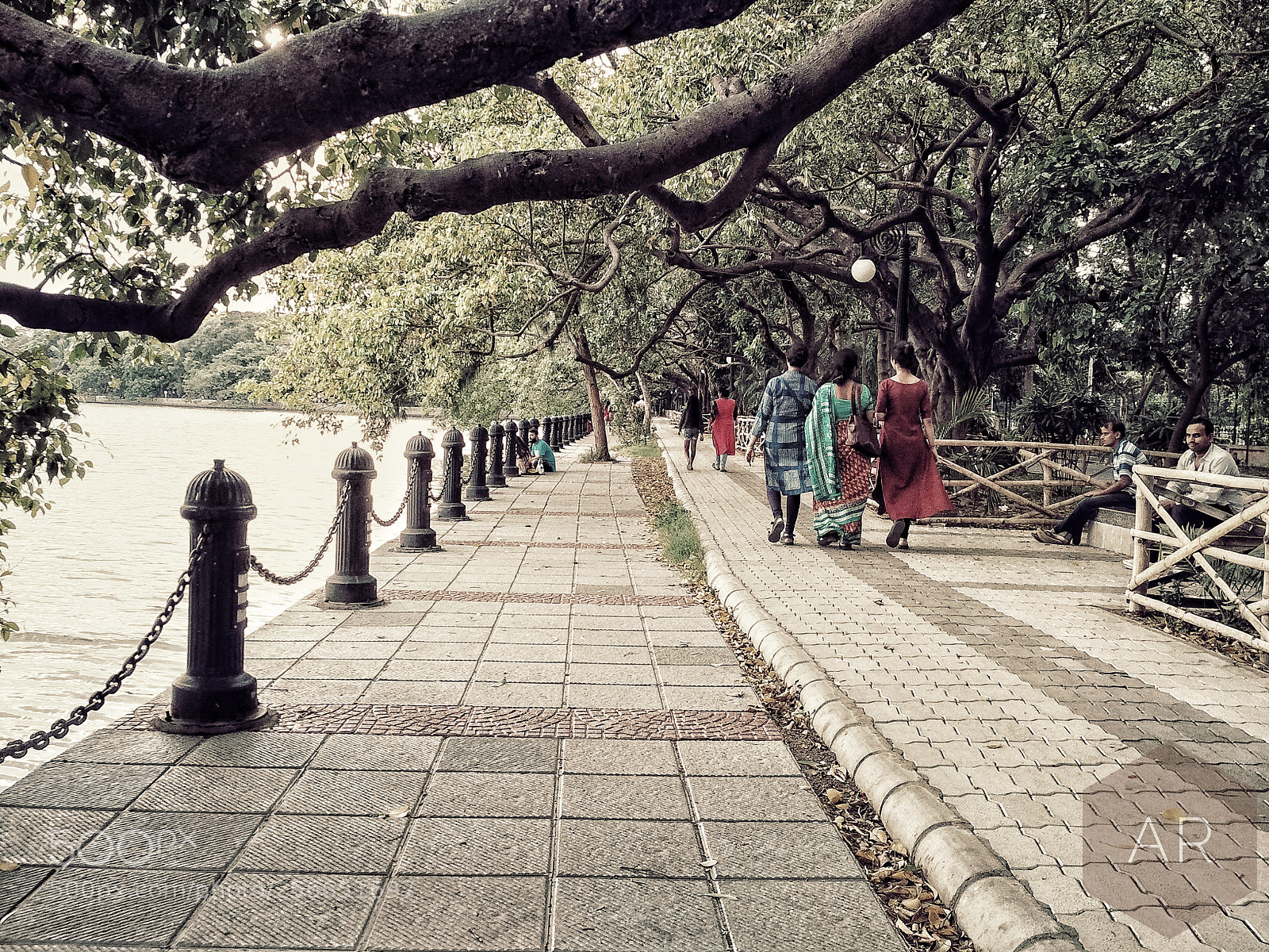 Xiaomi Redmi 4 Pro sample photo. The walk! photography