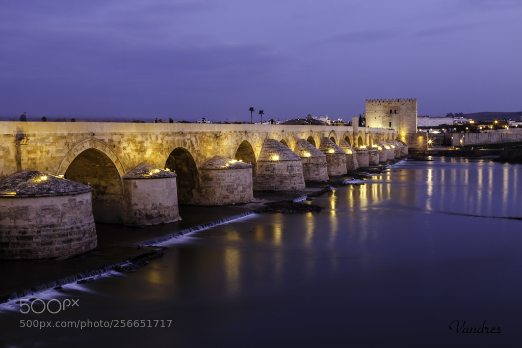Canon EOS 5D Mark II sample photo. Roman bridge at cordoba photography