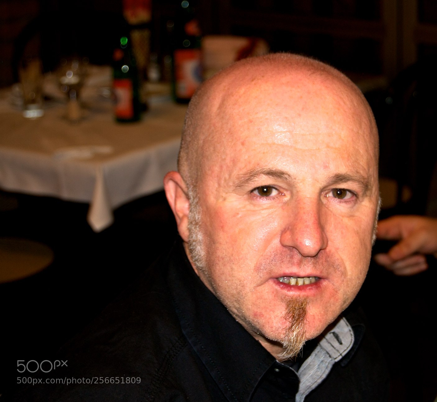Nikon D60 sample photo. Version photography