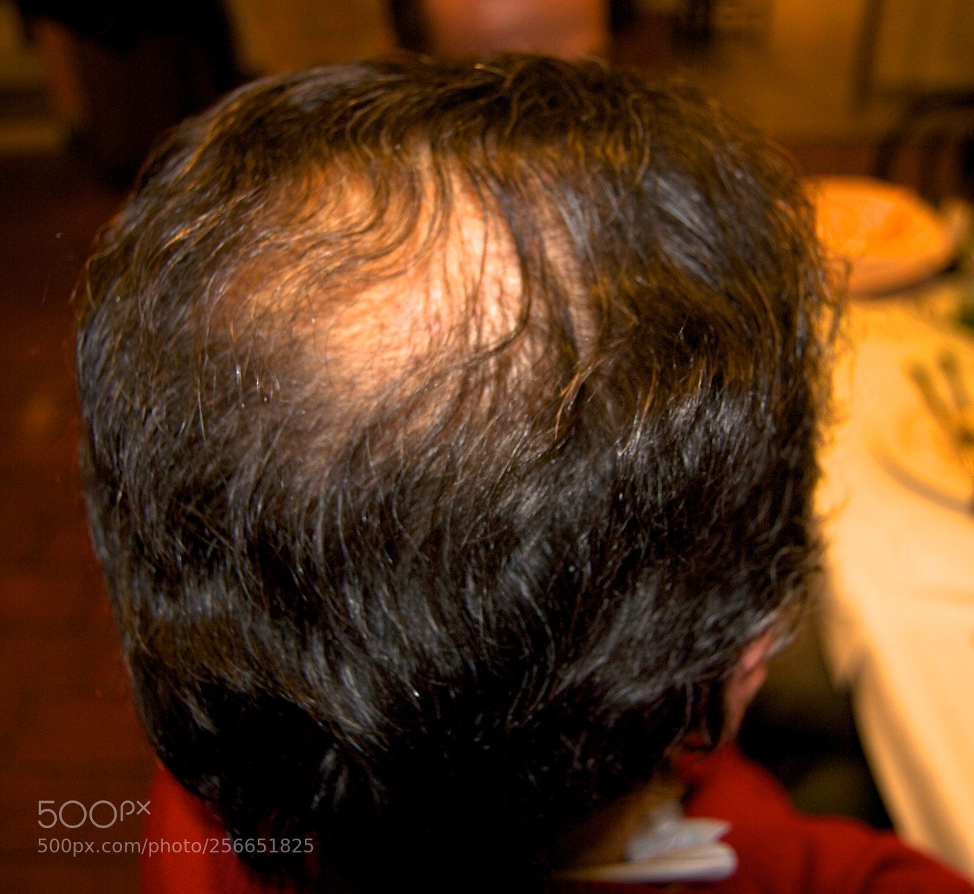 Nikon D60 sample photo. Version photography