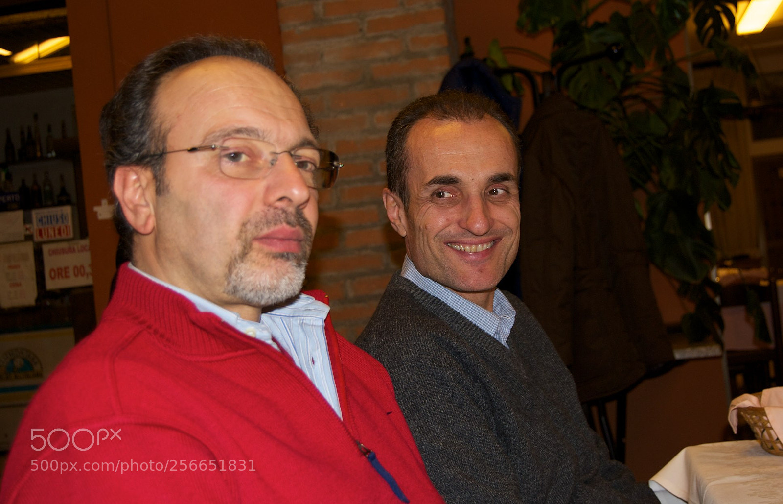 Nikon D60 sample photo. Version photography