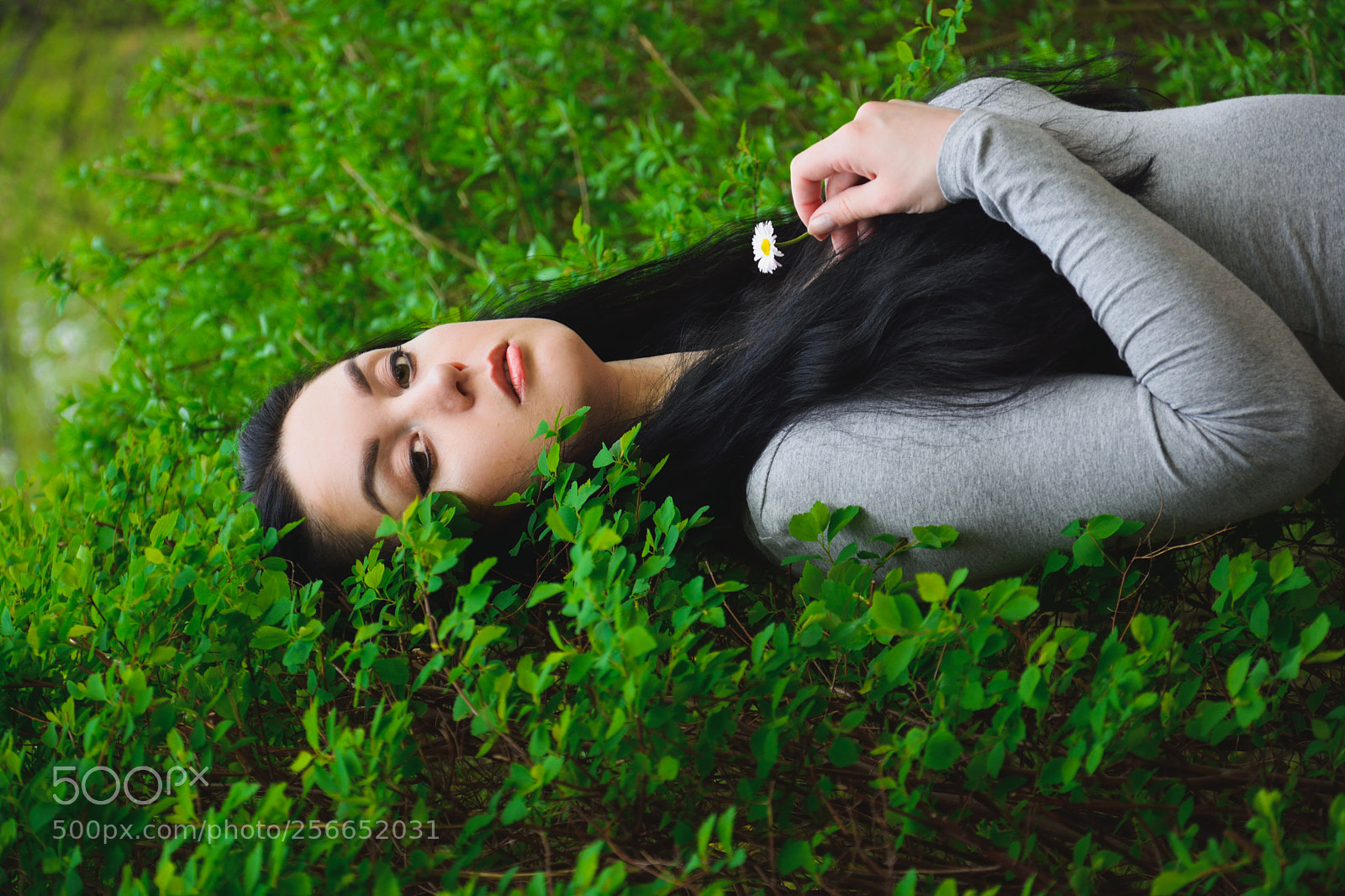 Nikon D3300 sample photo. Dryad 2 photography