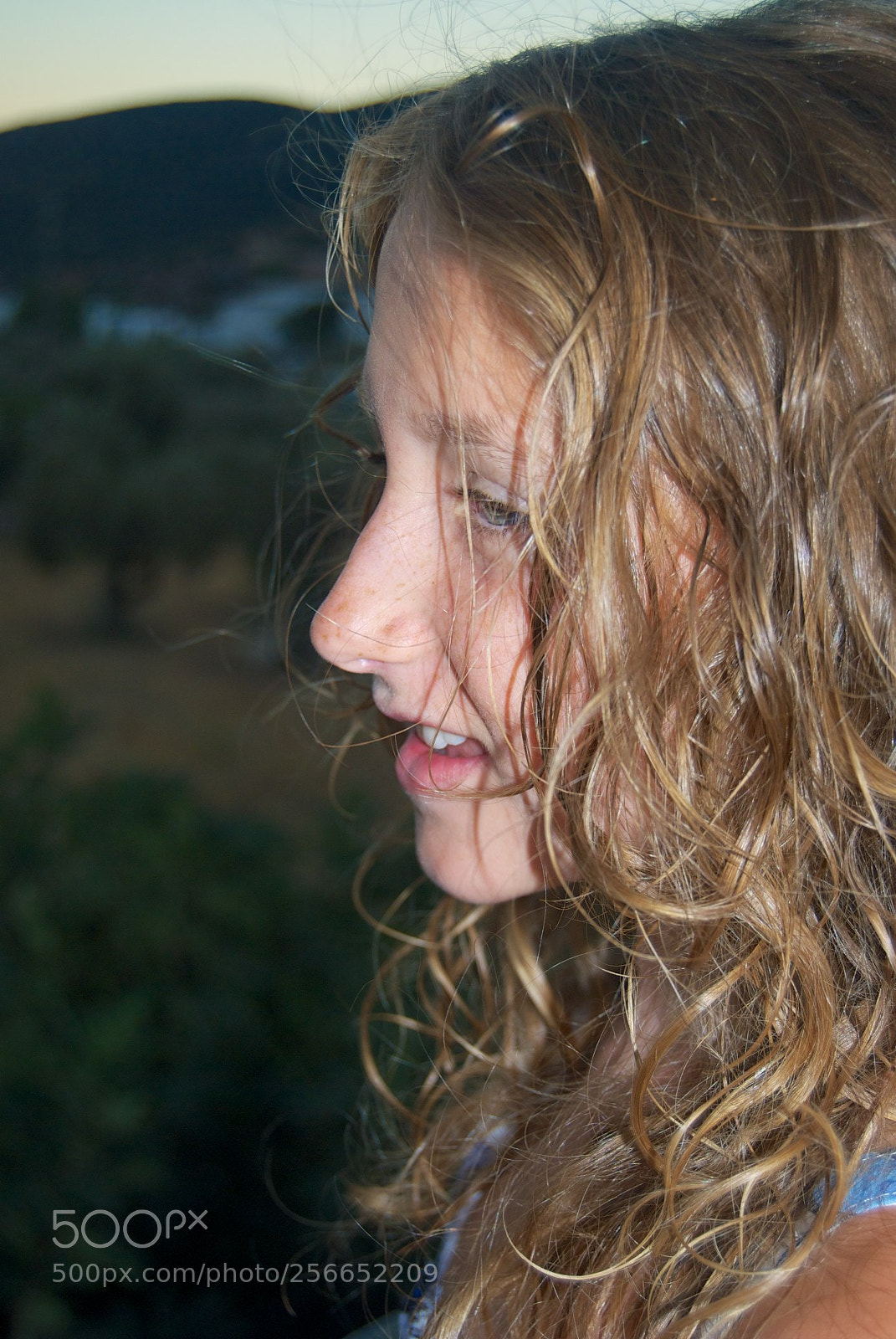 Nikon D60 sample photo. Version photography