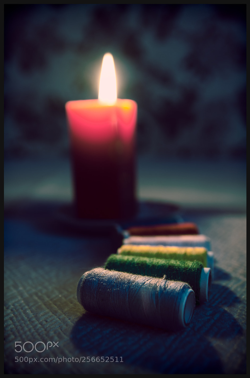 Nikon D5100 sample photo. Untitled photography
