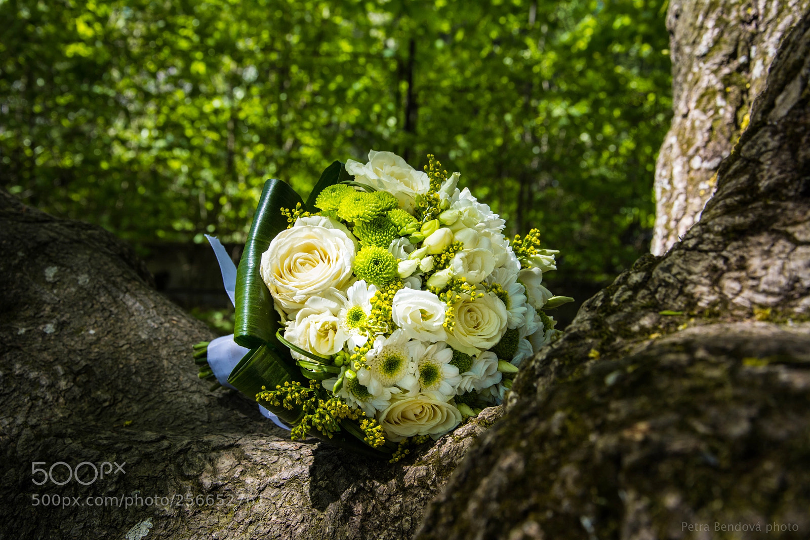 Nikon D7100 sample photo. 57-6819.jpg photography