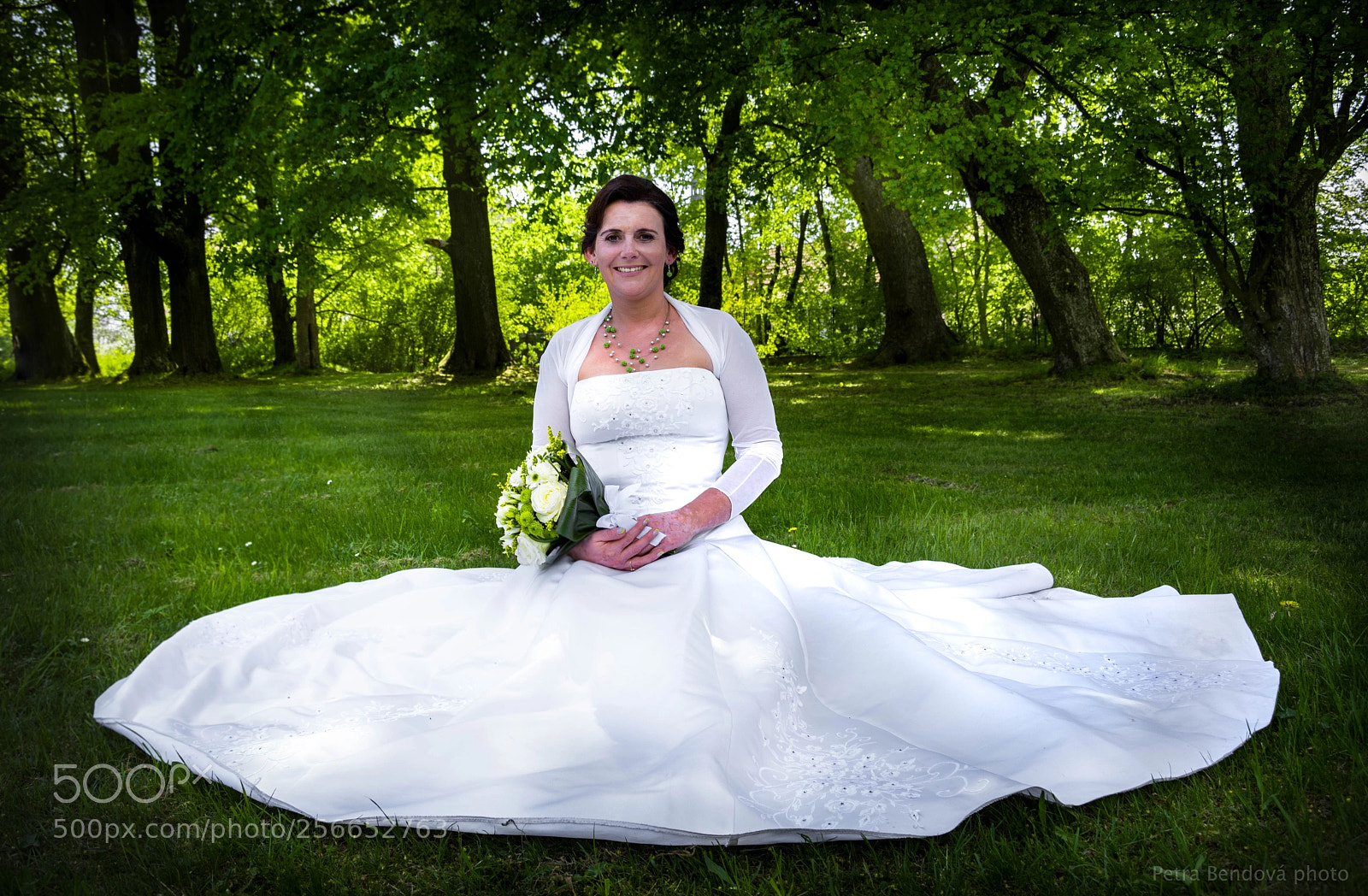 Nikon D7100 sample photo. 58-6821.jpg photography