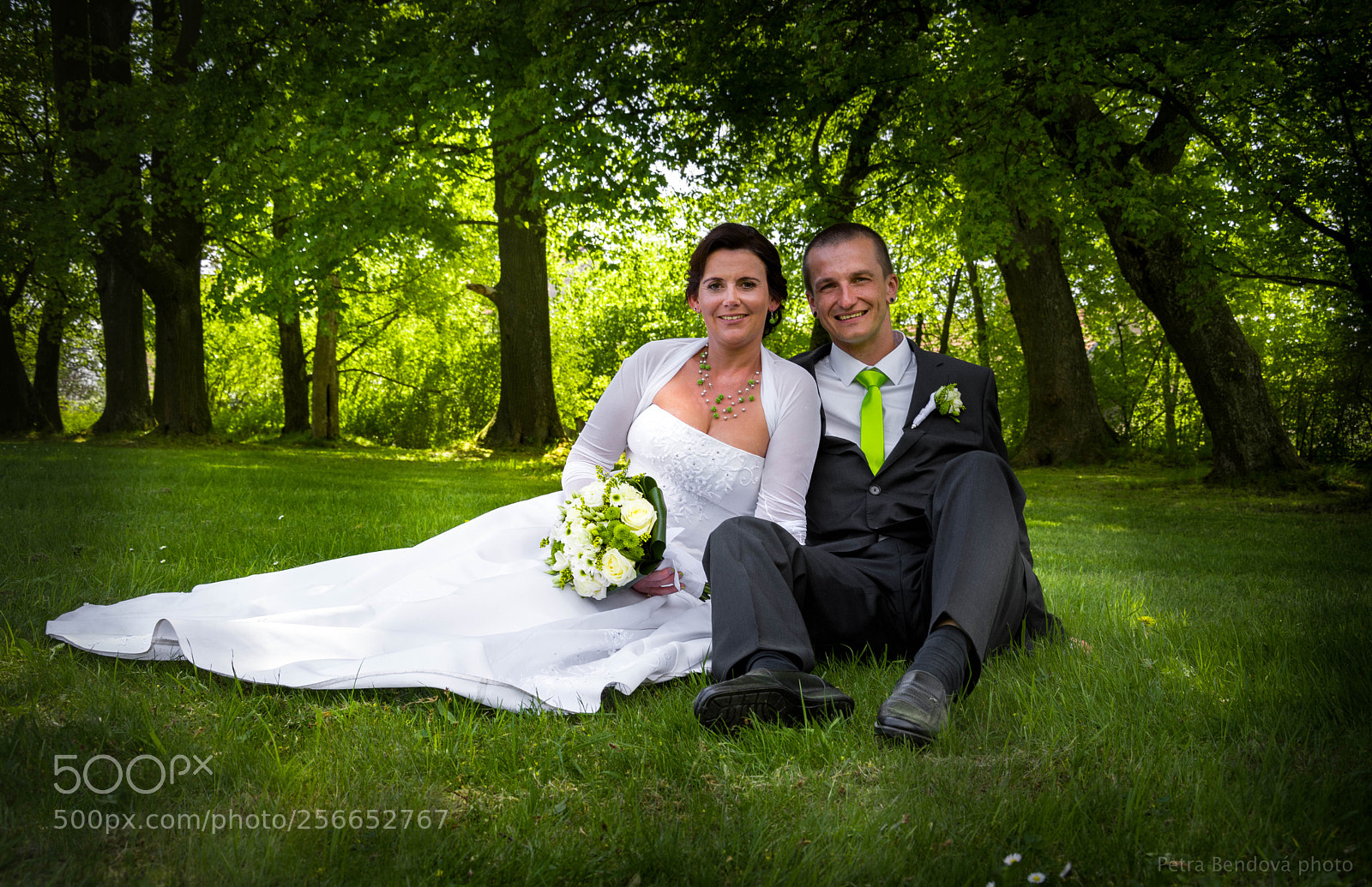 Nikon D7100 sample photo. 59-6830.jpg photography