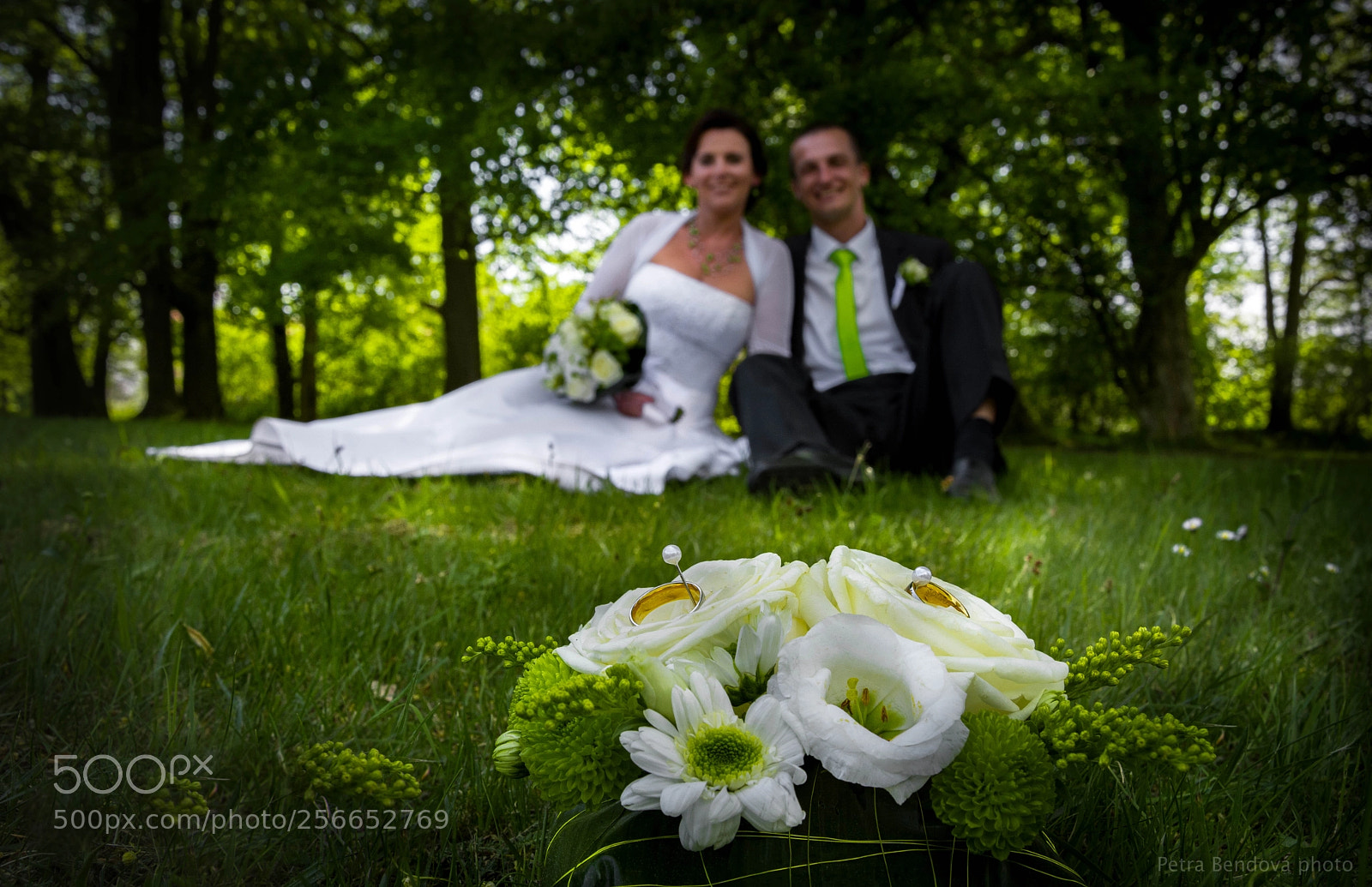 Nikon D7100 sample photo. 60-6836.jpg photography