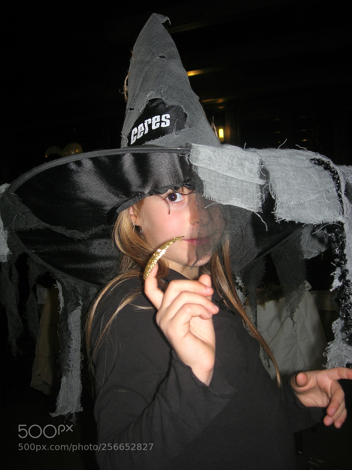 Nikon E5900 sample photo. Halloween photography