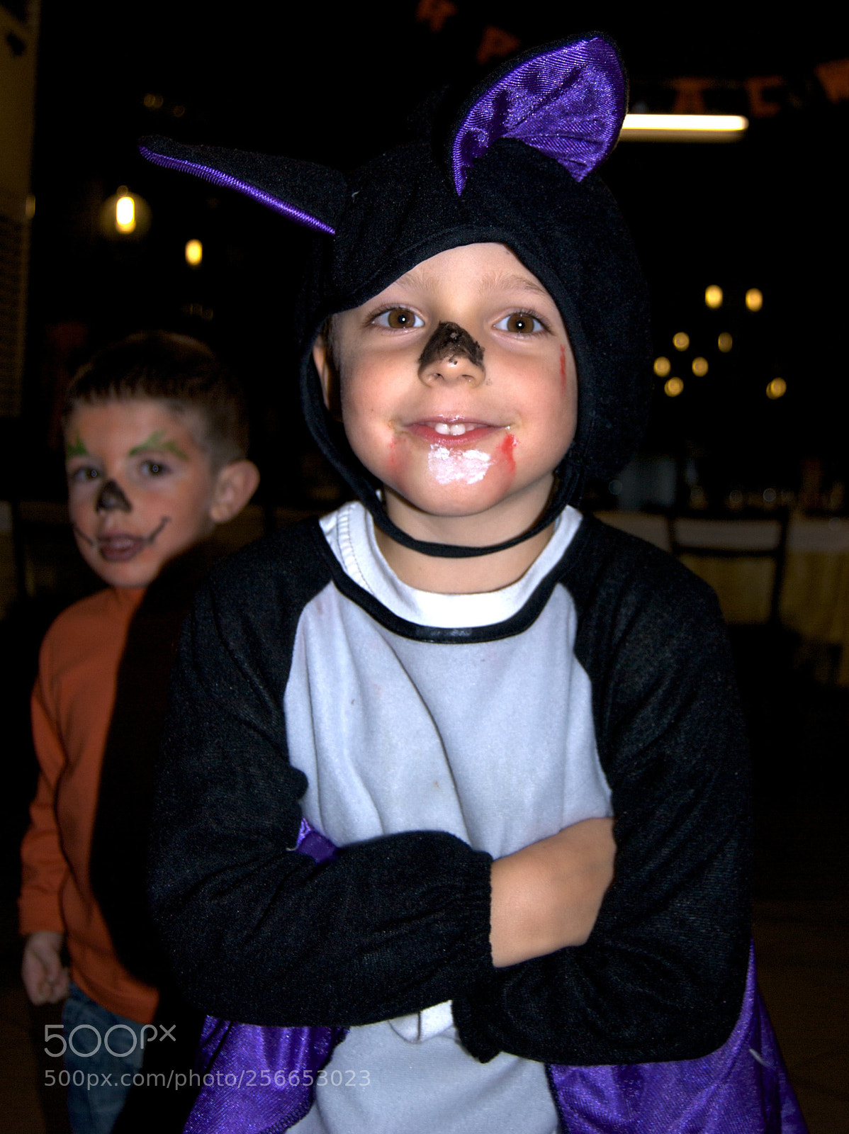 Nikon D60 sample photo. Version photography