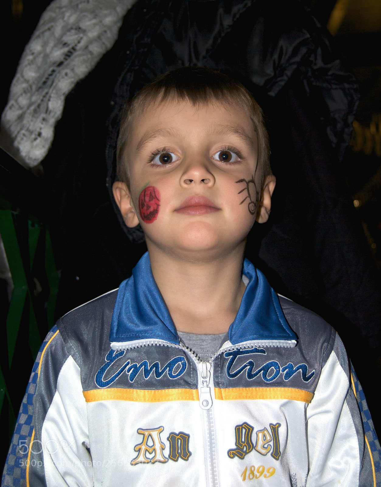 Nikon D60 sample photo. Version photography