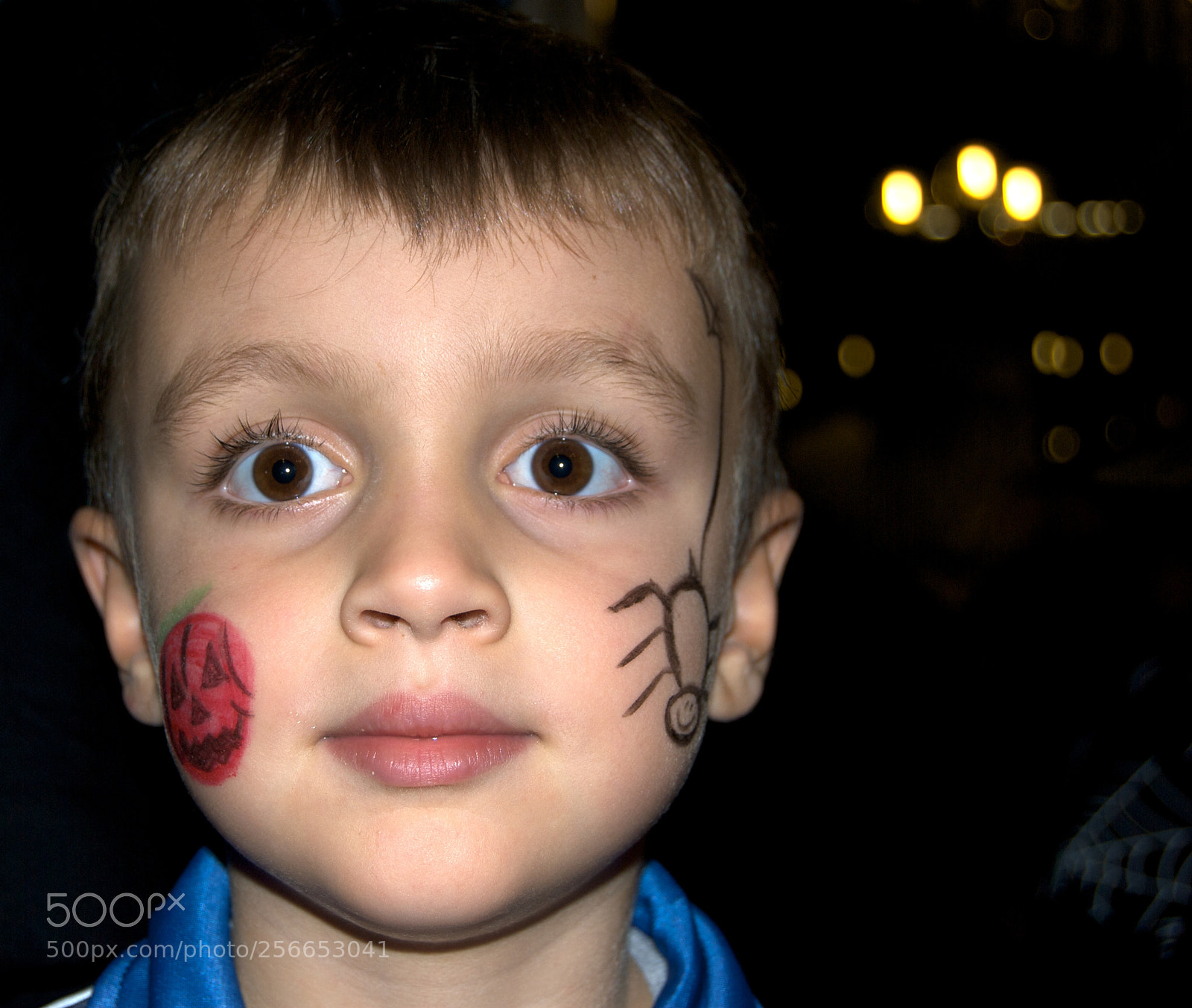 Nikon D60 sample photo. Version photography