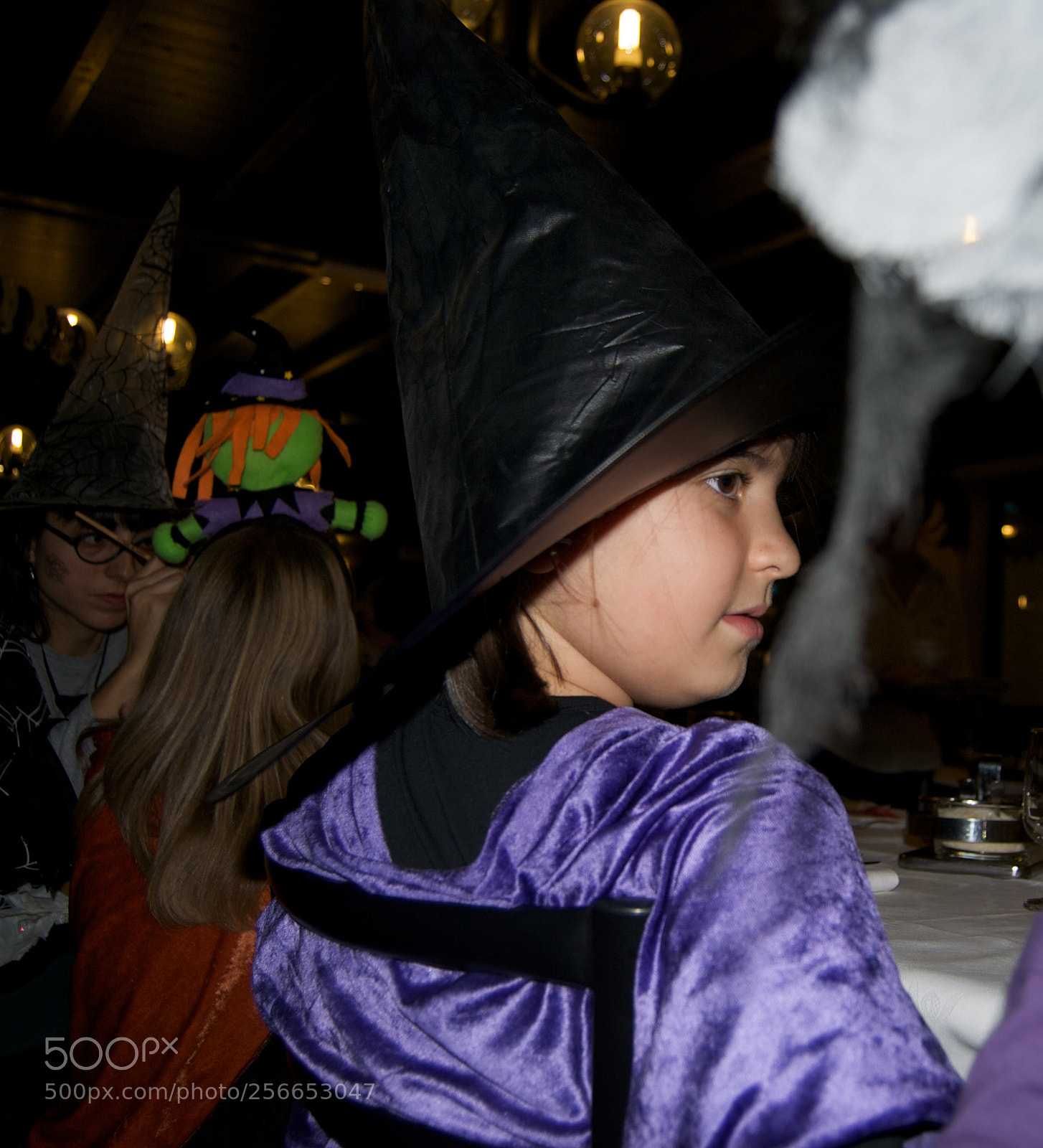 Nikon D60 sample photo. Version photography