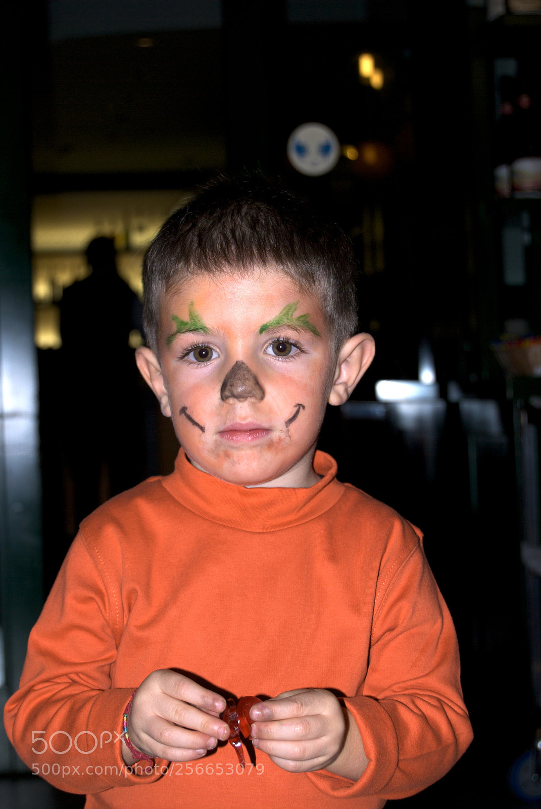 Nikon D60 sample photo. Version photography