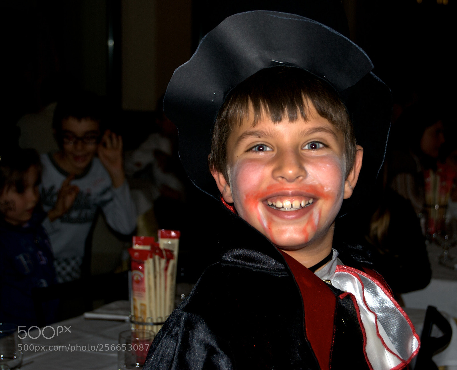 Nikon D60 sample photo. Version photography