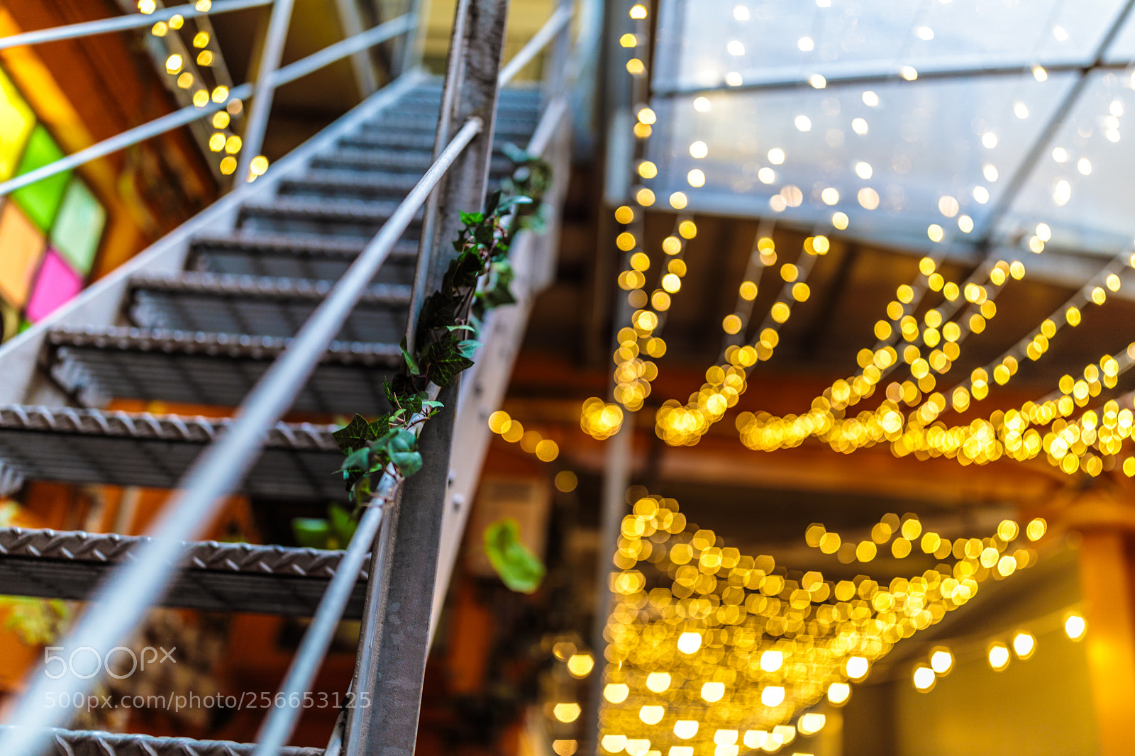 Canon EOS 5D Mark IV sample photo. Bokeh lights photography