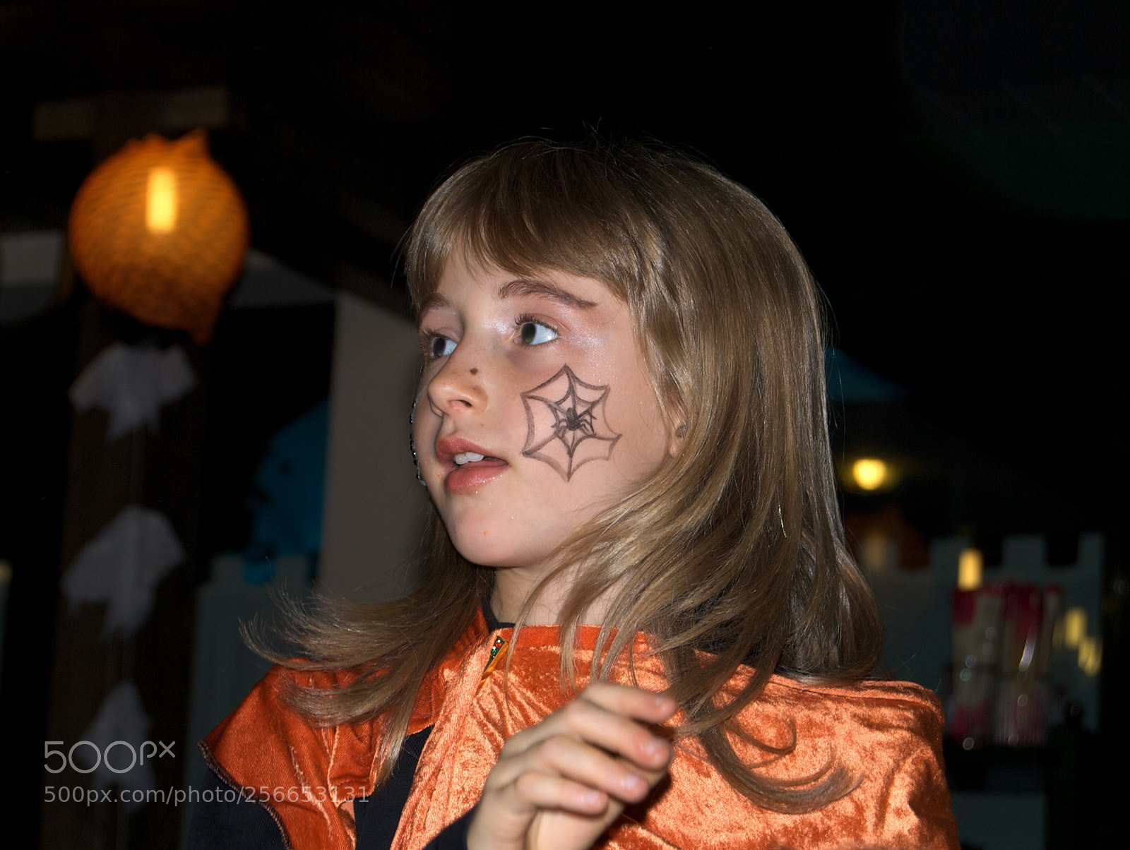 Nikon D60 sample photo. Version photography