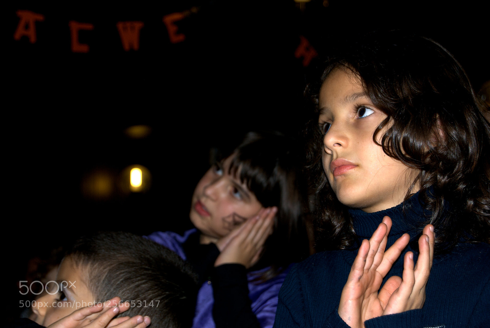 Nikon D60 sample photo. Version photography