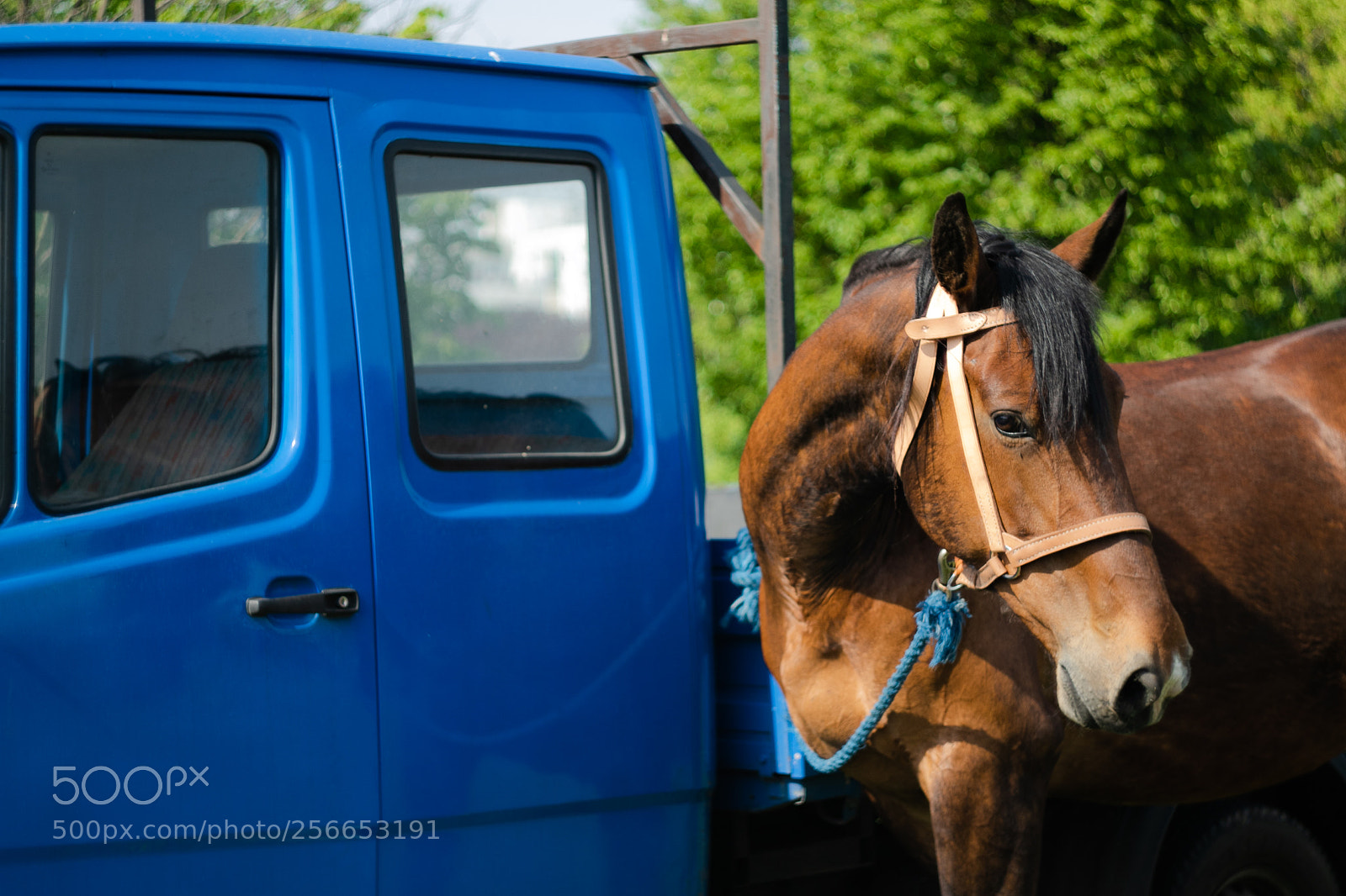 Canon EOS 7D Mark II sample photo. Majówka kawaleryjska 02.05.2018 photography