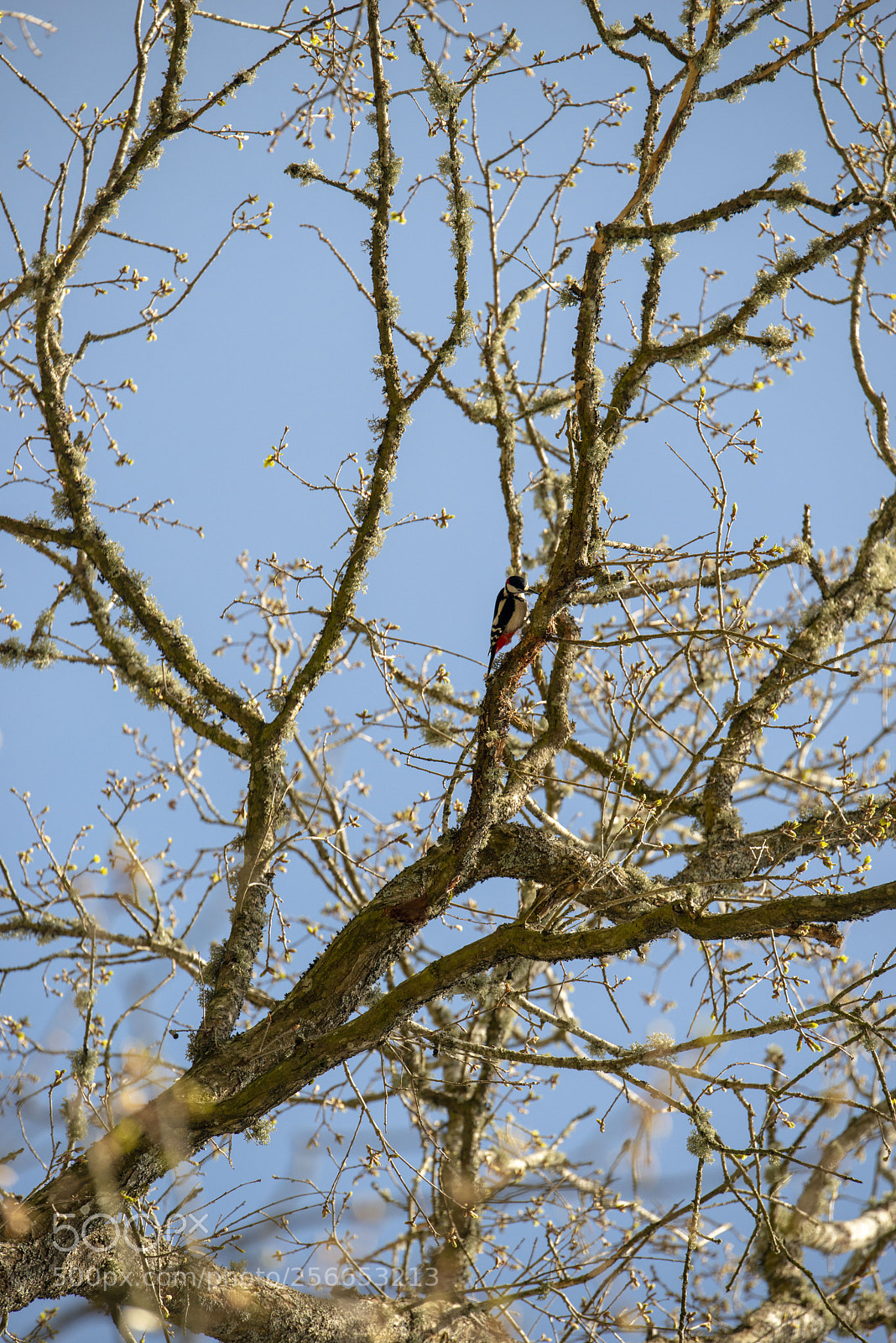 Nikon D800 sample photo. ... photography