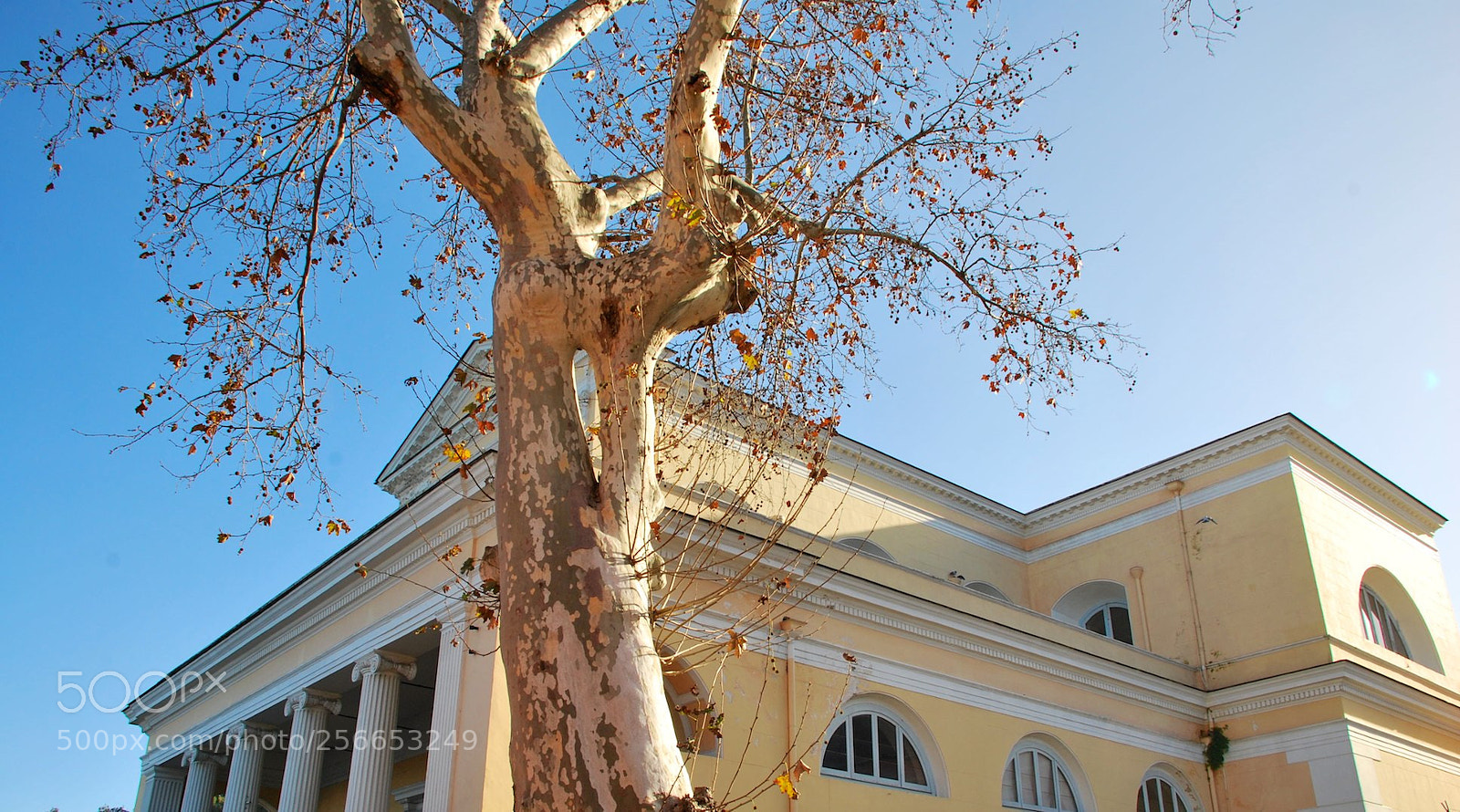 Nikon D60 sample photo. Version photography