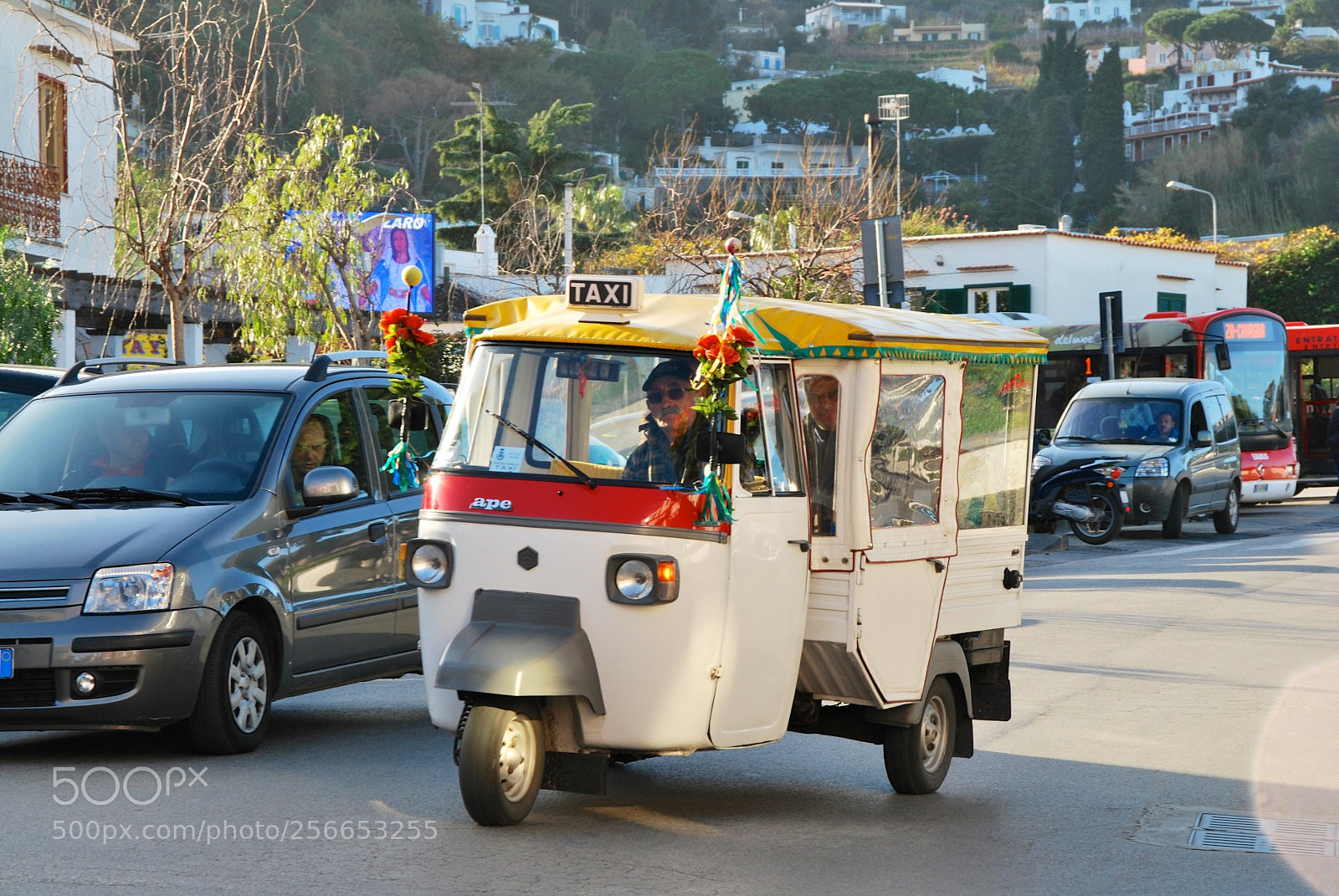 Nikon D60 sample photo. Version photography
