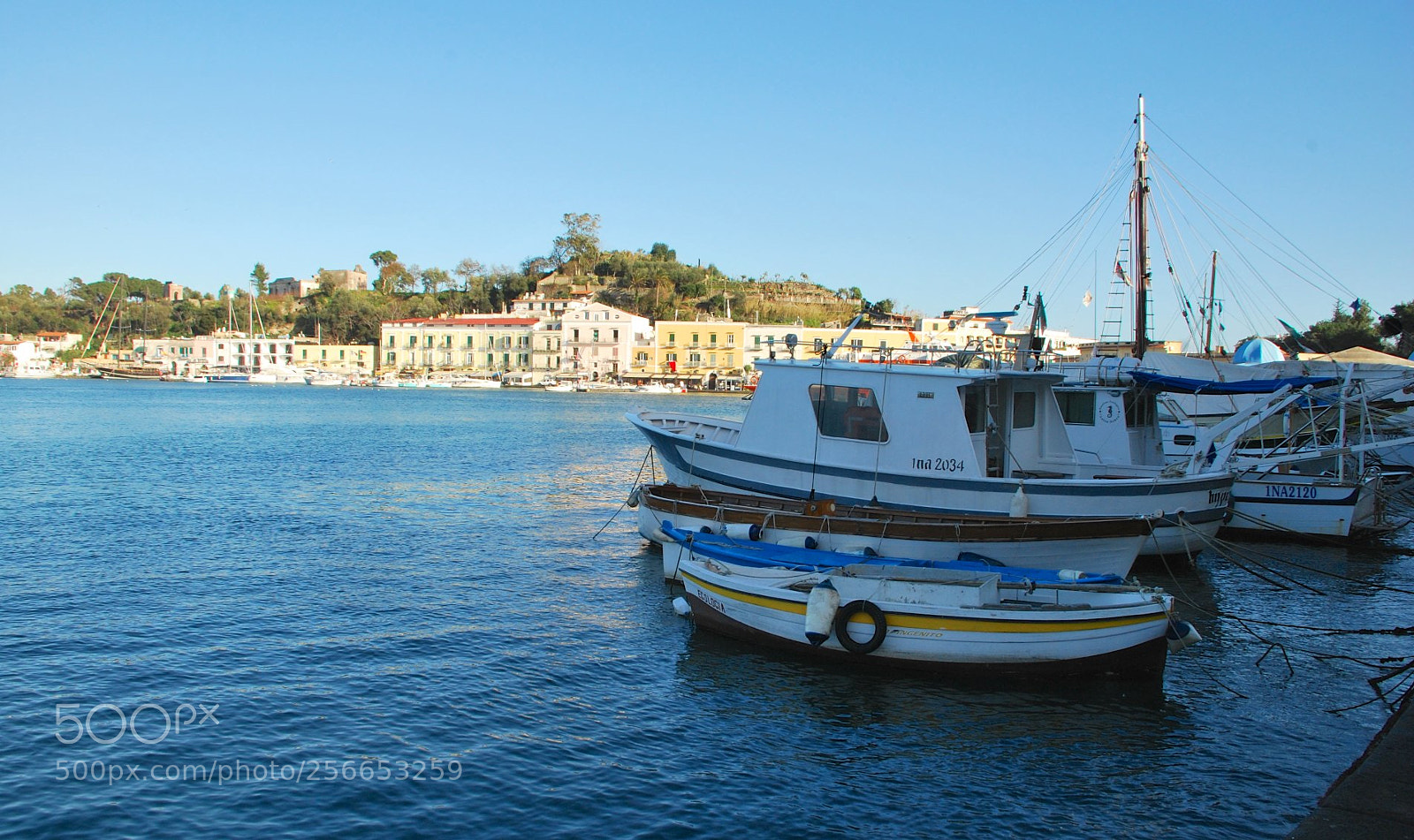 Nikon D60 sample photo. Version photography