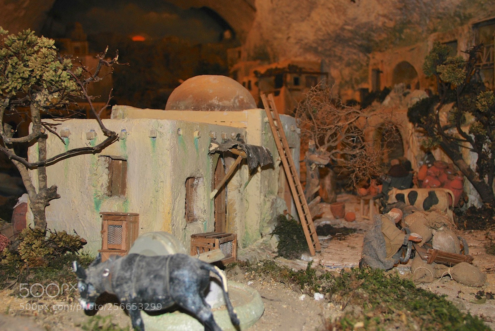 Nikon D60 sample photo. Version photography