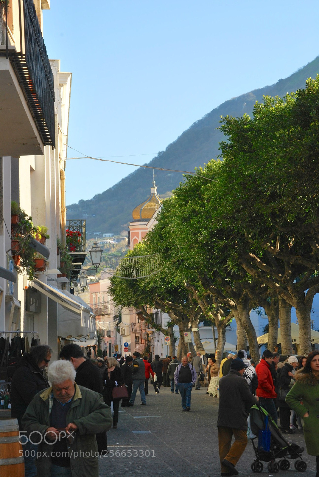 Nikon D60 sample photo. Version photography