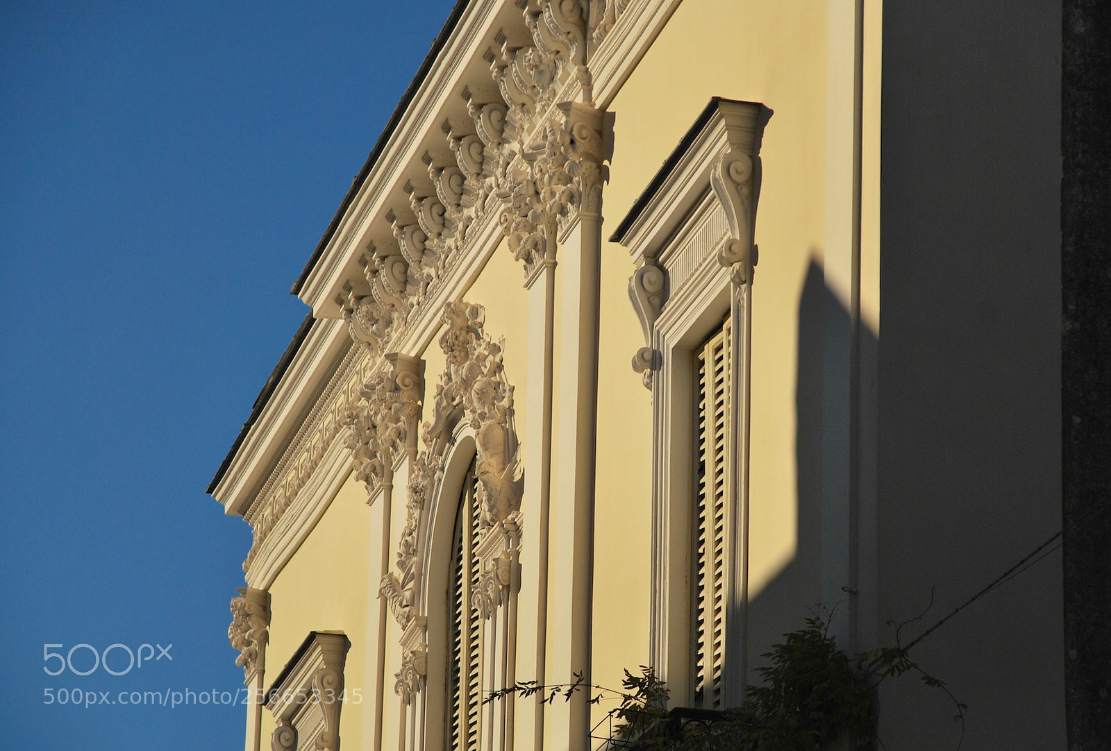 Nikon D60 sample photo. Version photography