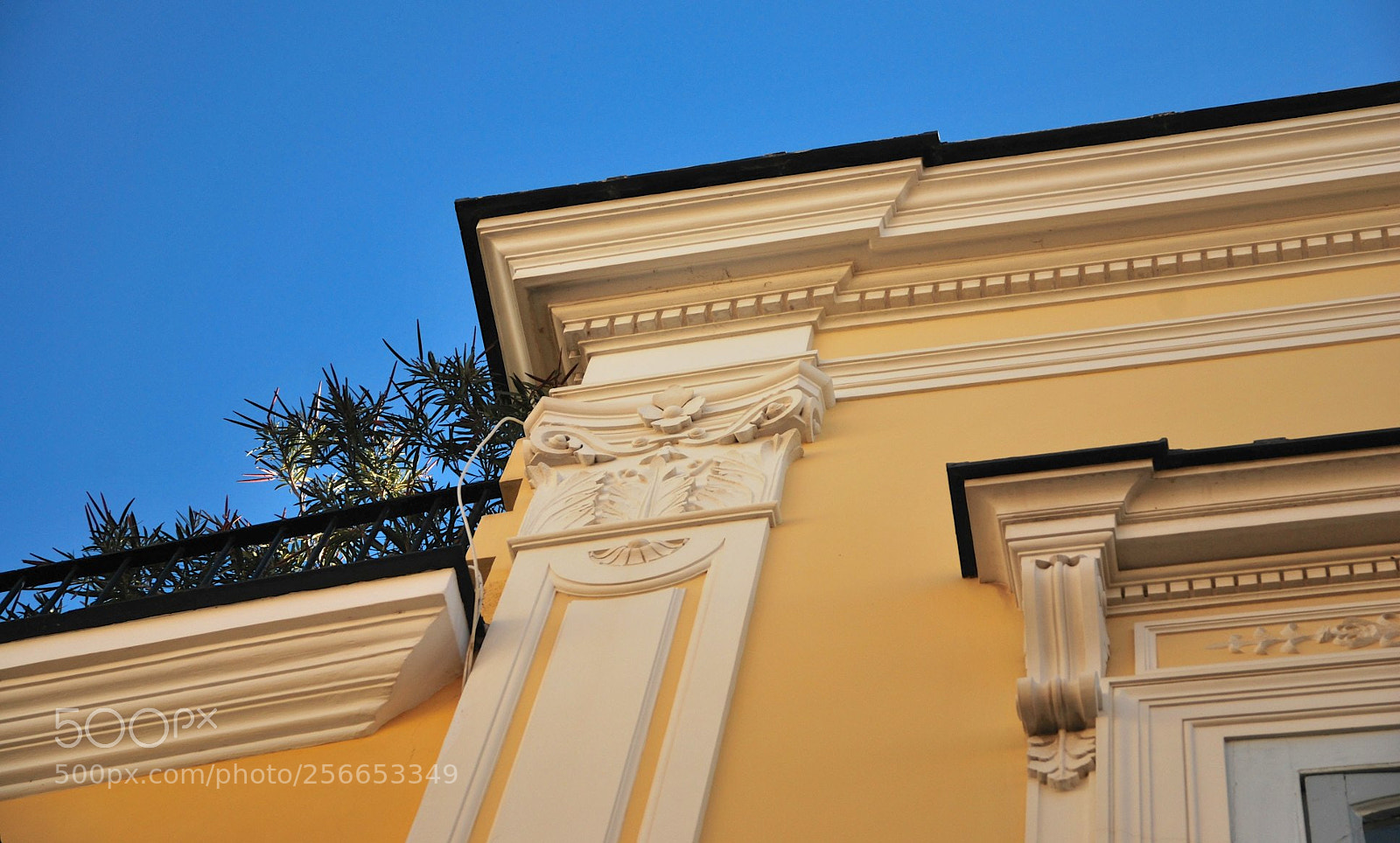 Nikon D60 sample photo. Version photography