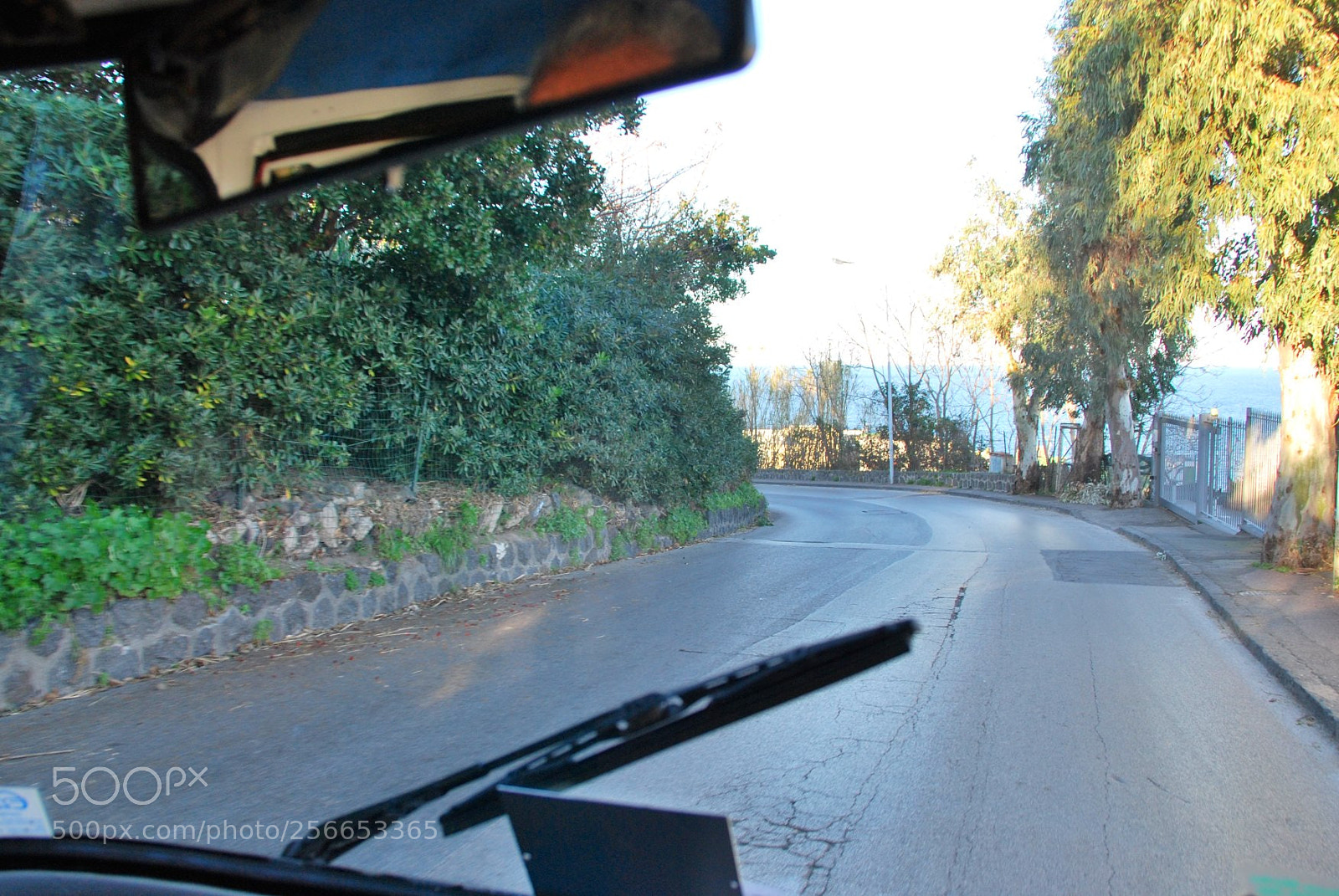 Nikon D60 sample photo. Version photography