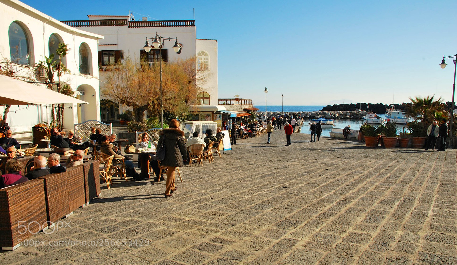 Nikon D60 sample photo. Version photography