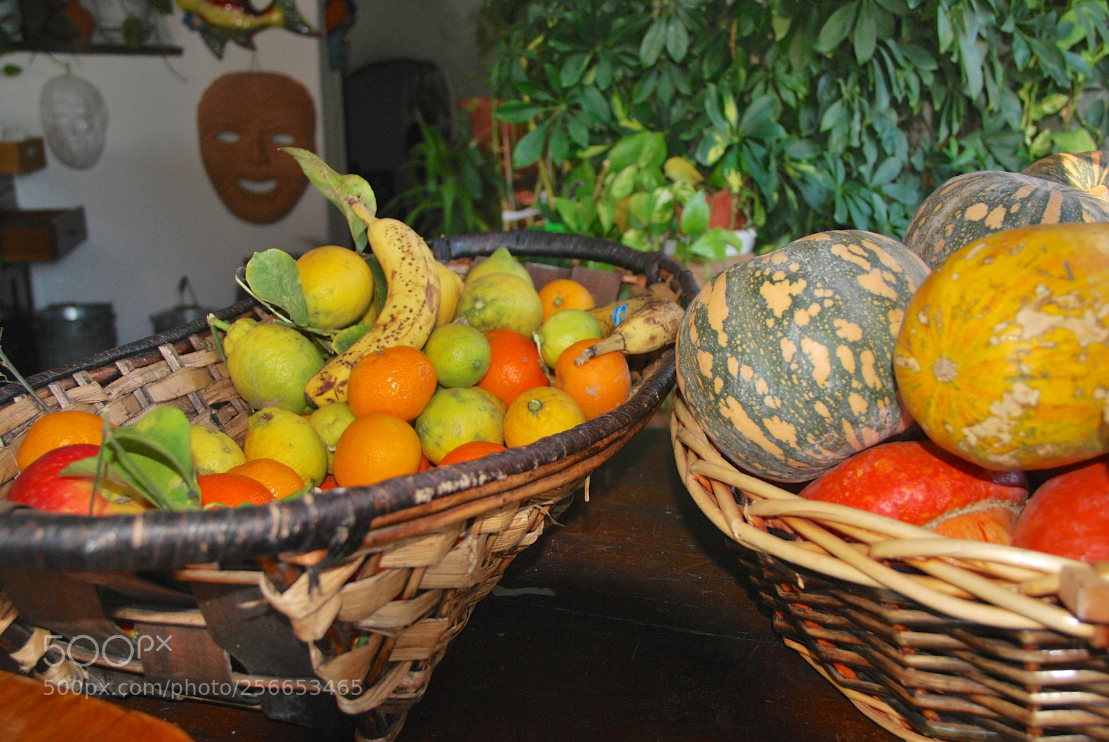 Nikon D60 sample photo. Version photography