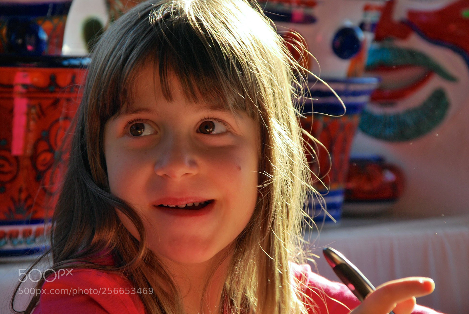 Nikon D60 sample photo. Version photography