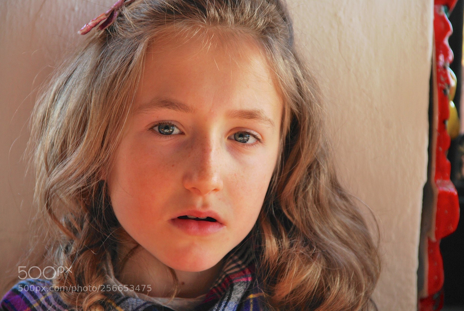 Nikon D60 sample photo. Version photography
