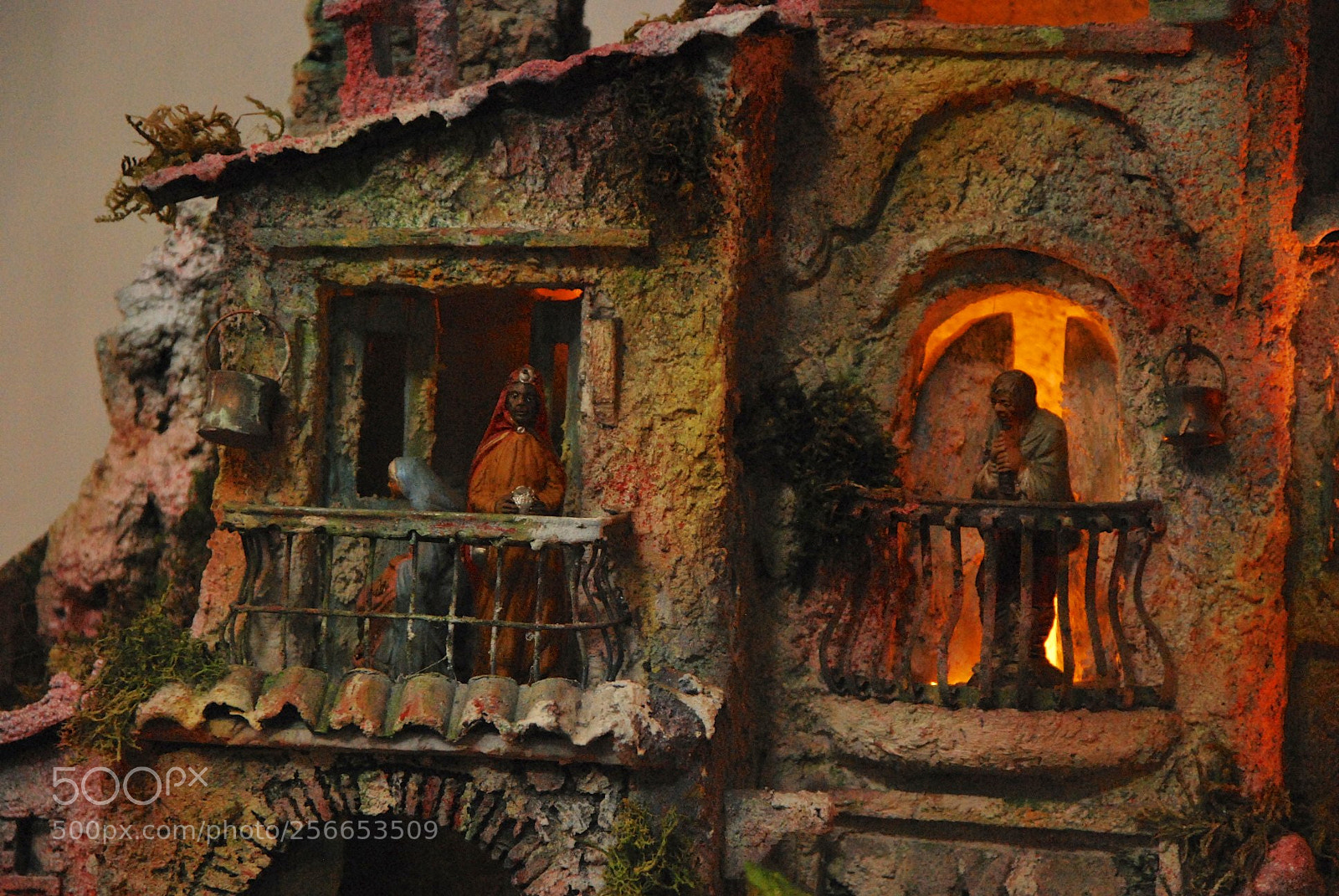 Nikon D60 sample photo. Version photography