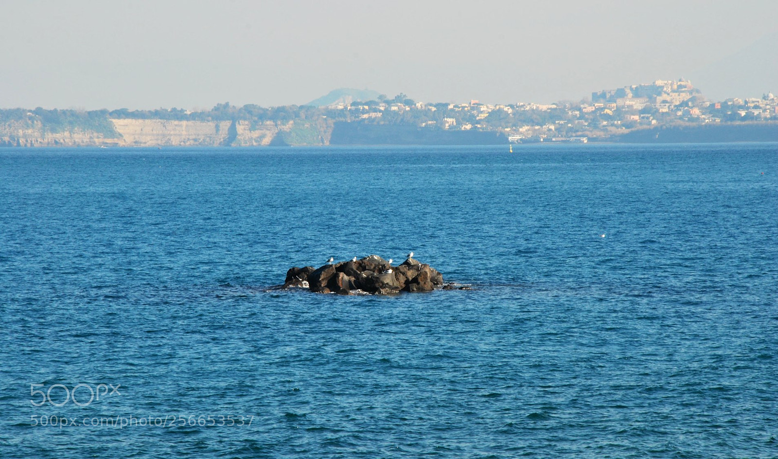 Nikon D60 sample photo. Version photography