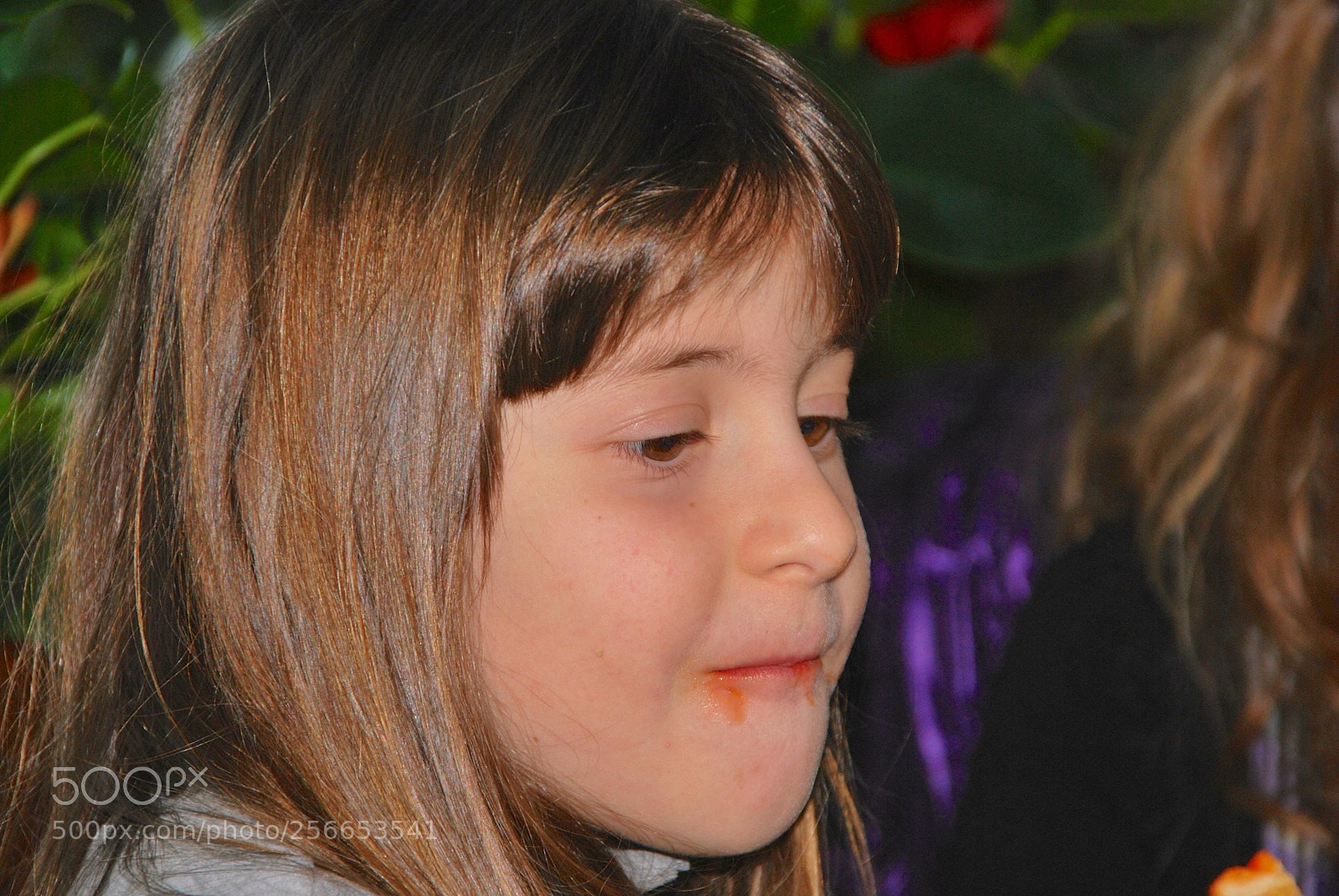 Nikon D60 sample photo. Version photography